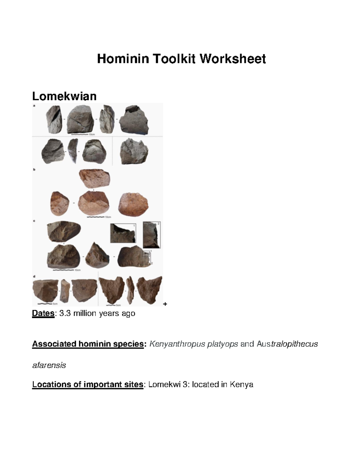Hominin Toolkit worksheet Hominin Toolkit Worksheet Lomekwian + Dates