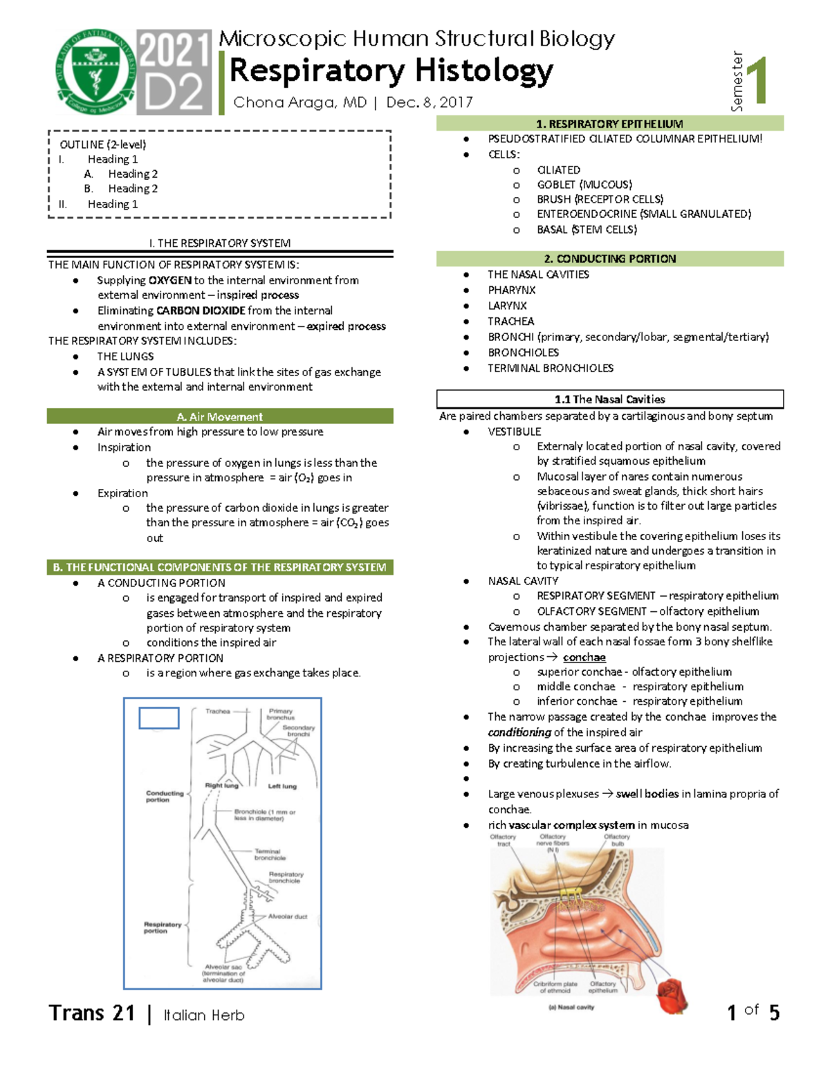 Micro - S1t21 Respiratory Histology - Trans 21 