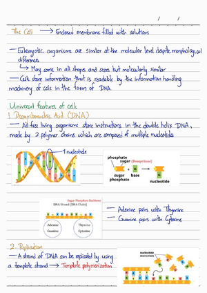 IB IA Checklist - rubric - IB BIOLOGY INTERNAL ASSESSMENT CHECKLIST ...