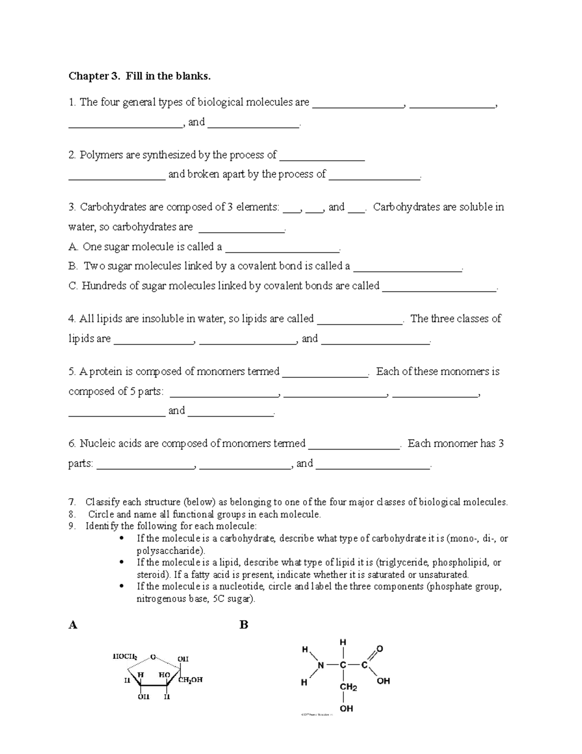 Chapter 3 Biological Molecules Worksheet Chapter 3. Fill in the blanks. 1. The four general
