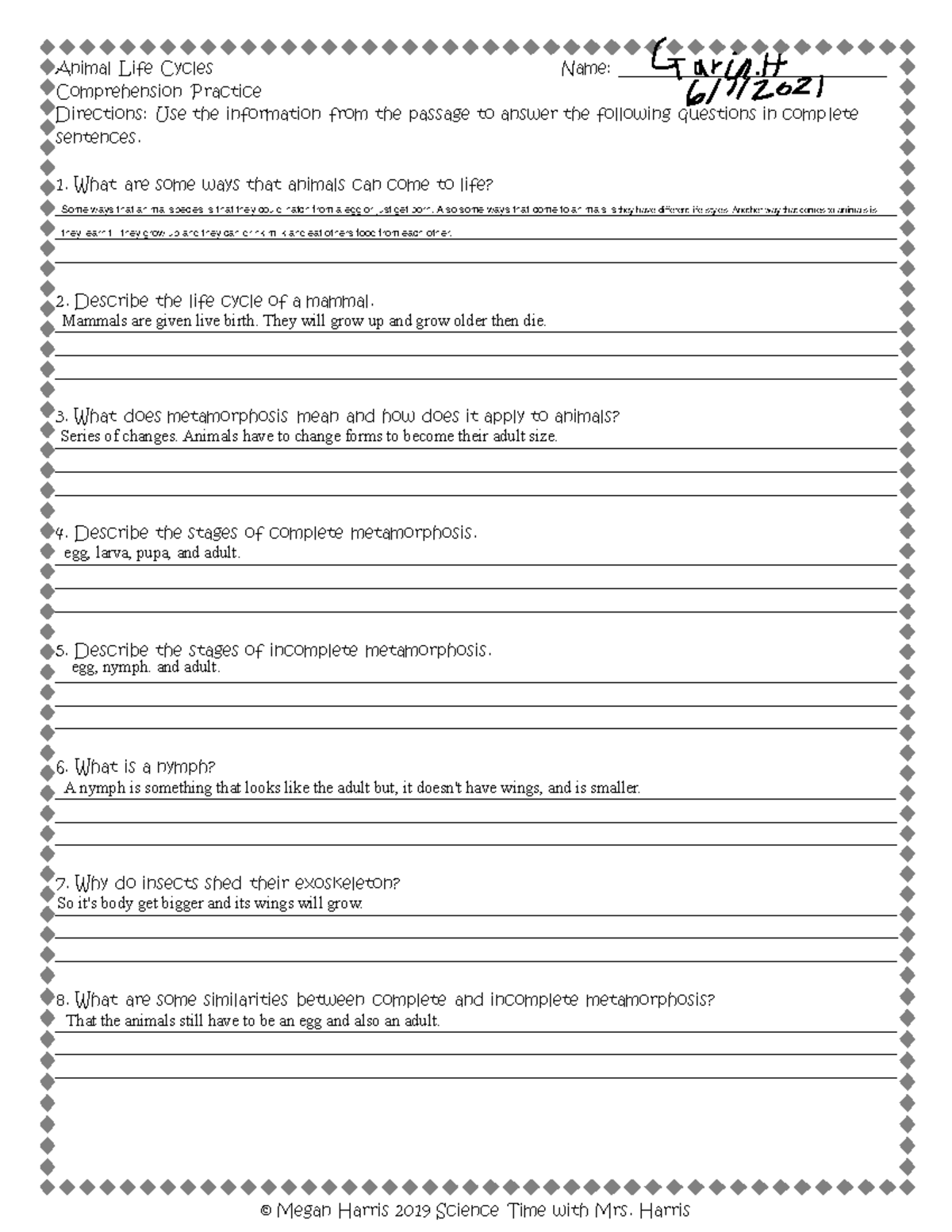 animal life cycle task questions - © Megan Harris 2019 Science Time ...