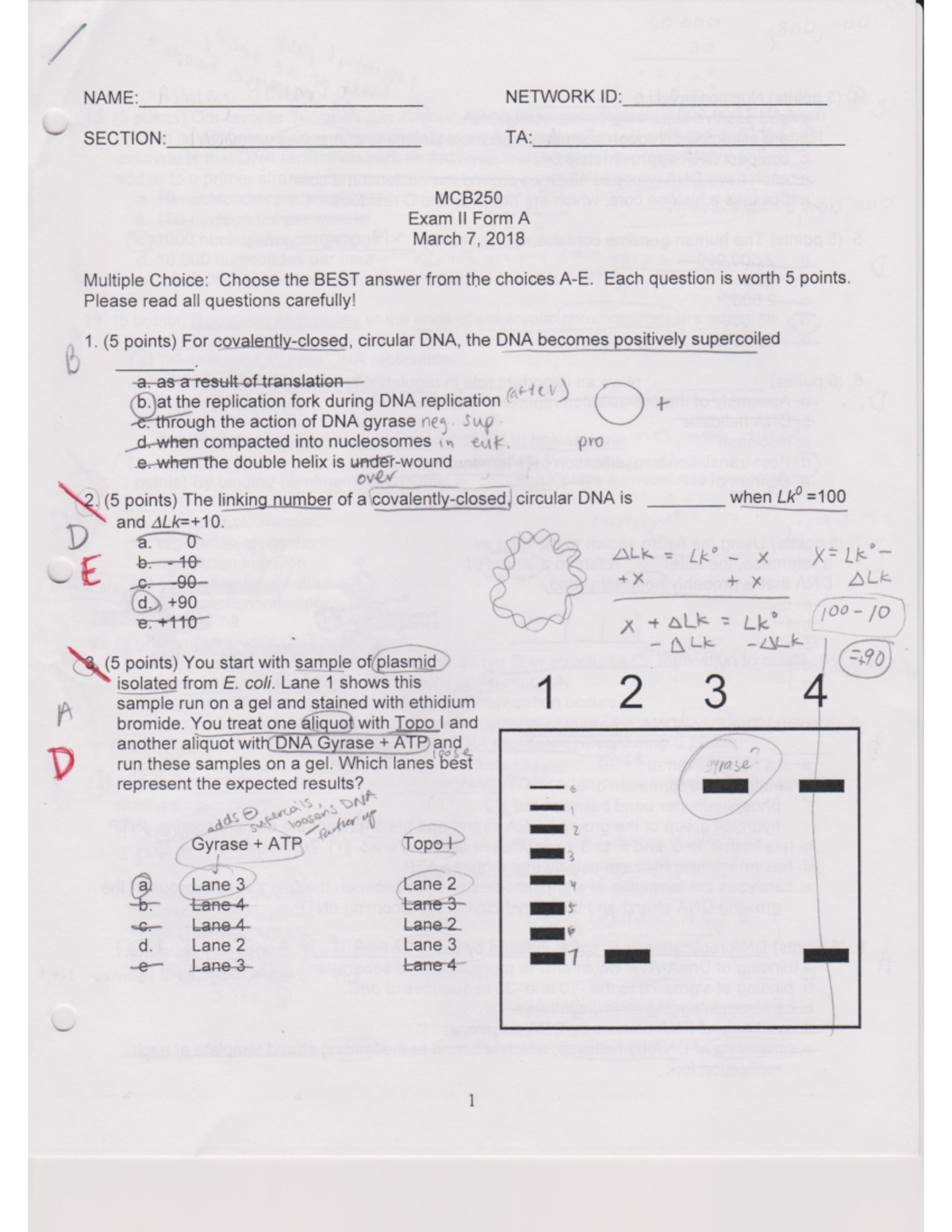 MCB 250 Practice Exam 2 Sp18 - NAME: NETWORK ID: SECTION: TA: MCB250 ...