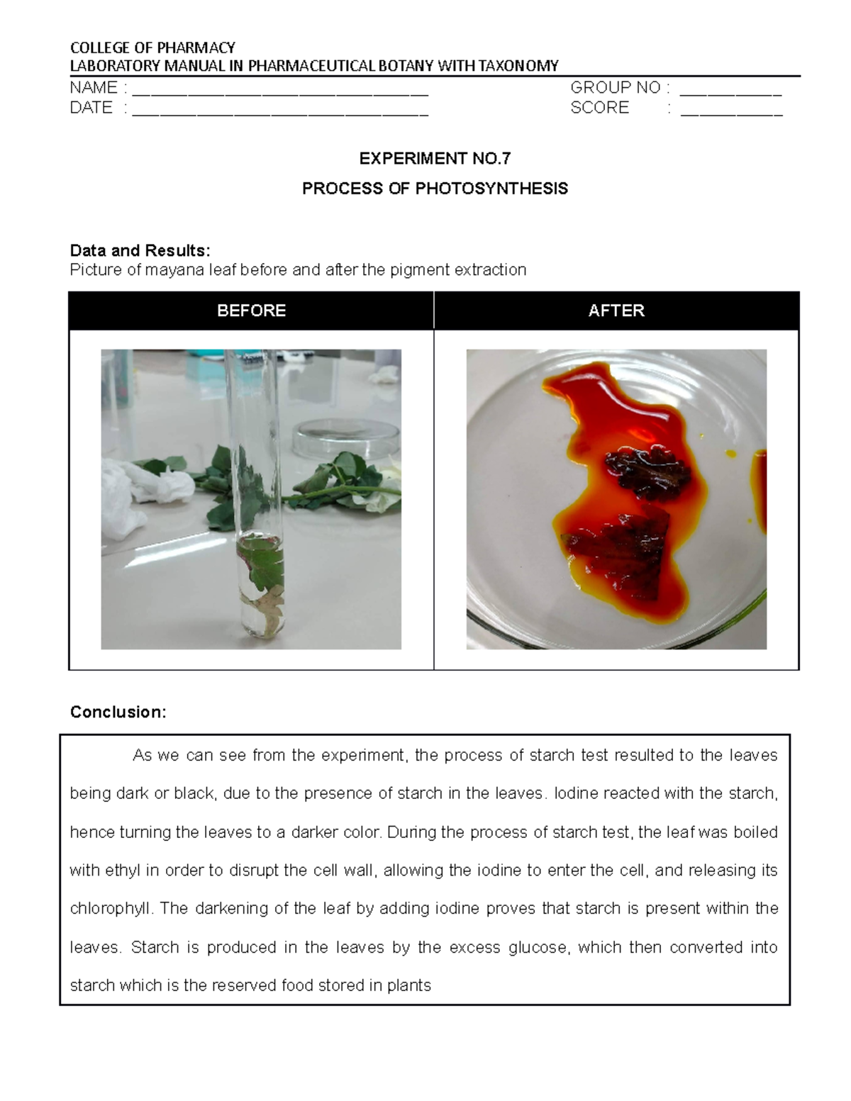 PBOT Photosynthesis Pharmaceutical Botany with Taxonomy Laboratory