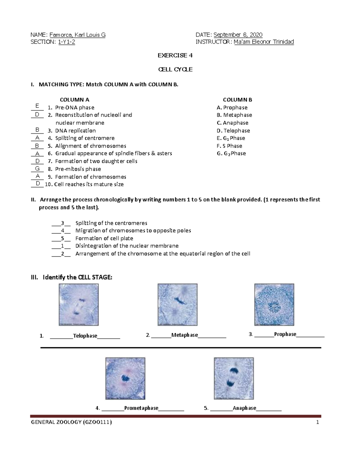 Exercise 4 - Cell Cycle-copy-copy - General Zoology (gzoo111) 1 Name 