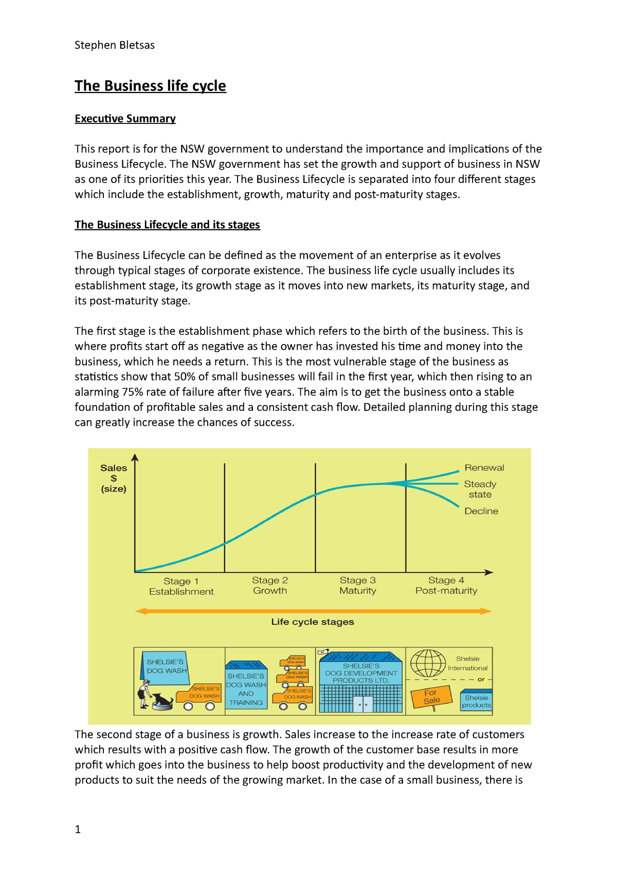 the-business-life-cycle-stephen-bletsas-the-business-life-cycle