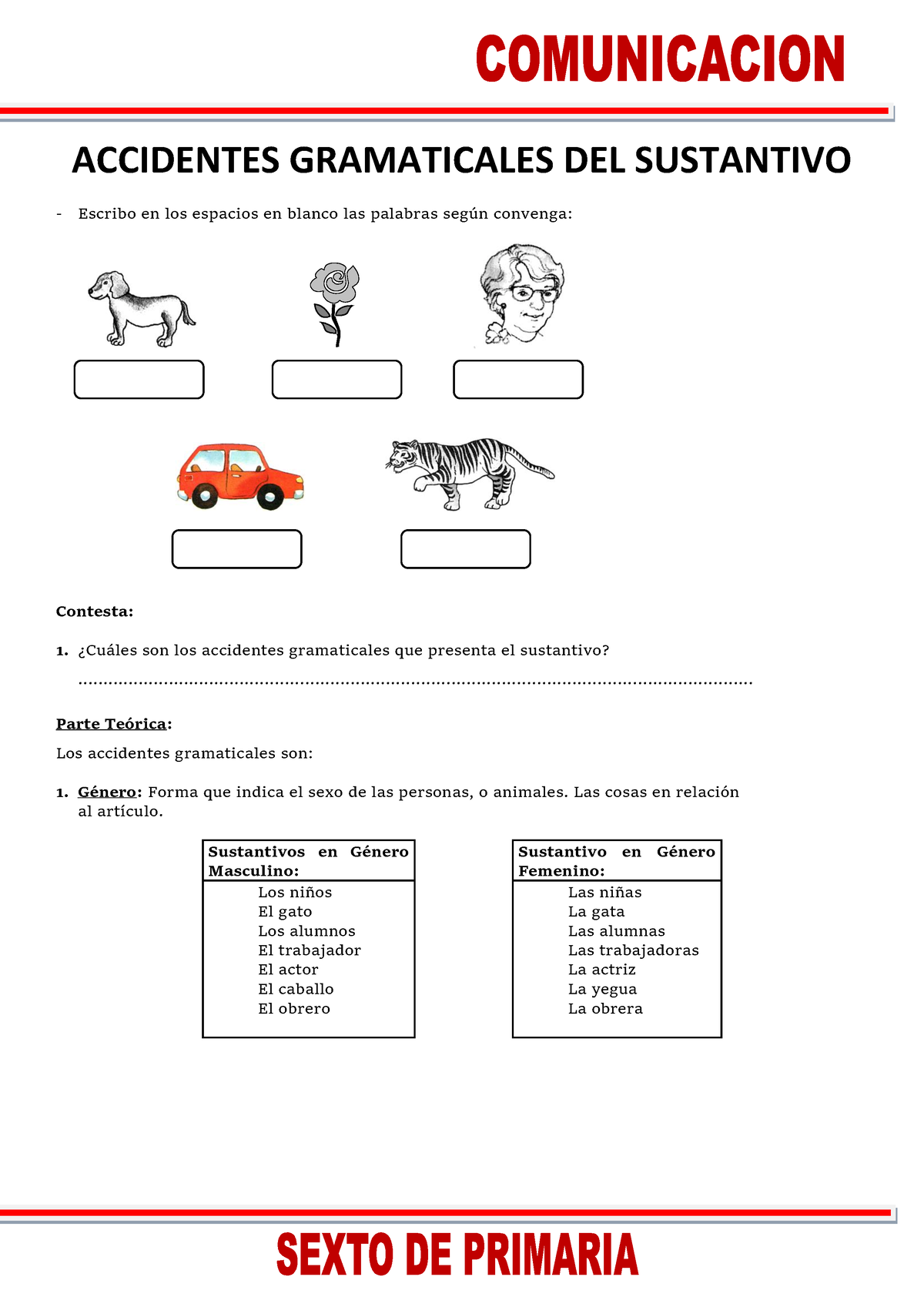 Accidentes Gramaticales Del Sustantivo Para Sexto De Primaria ...