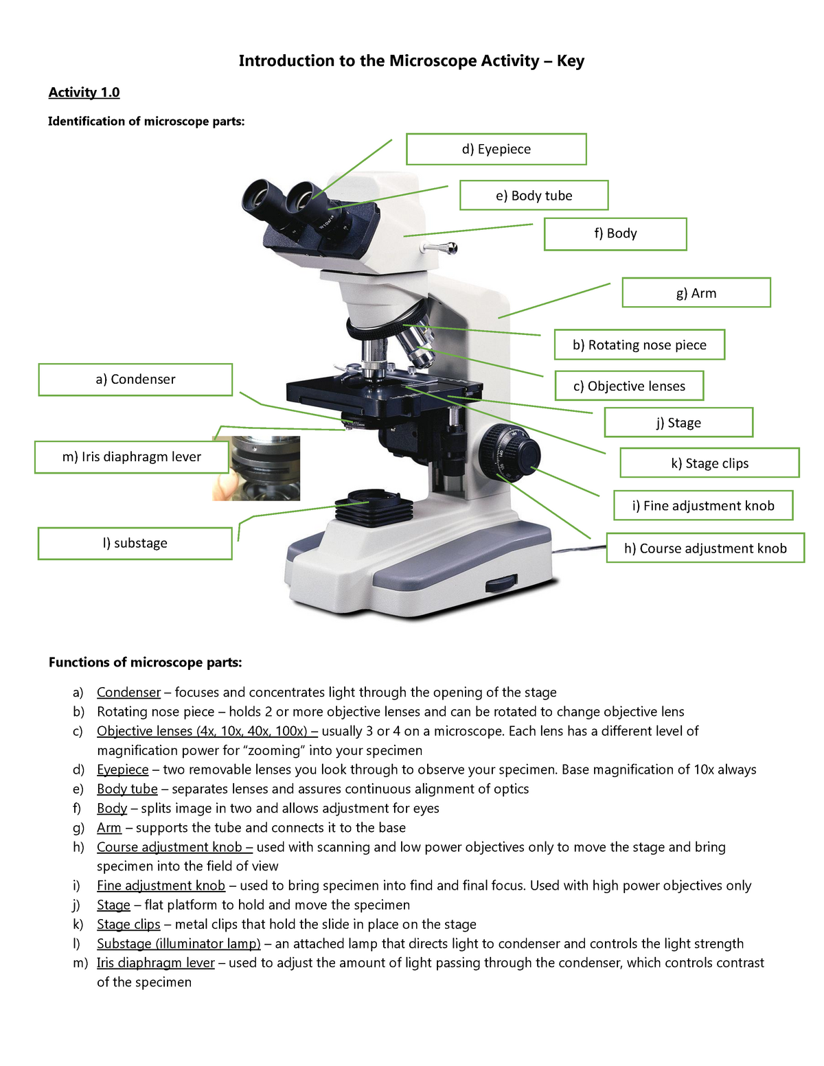 Microscope Parts And Functions With Microscope Parts And Use Worksheet