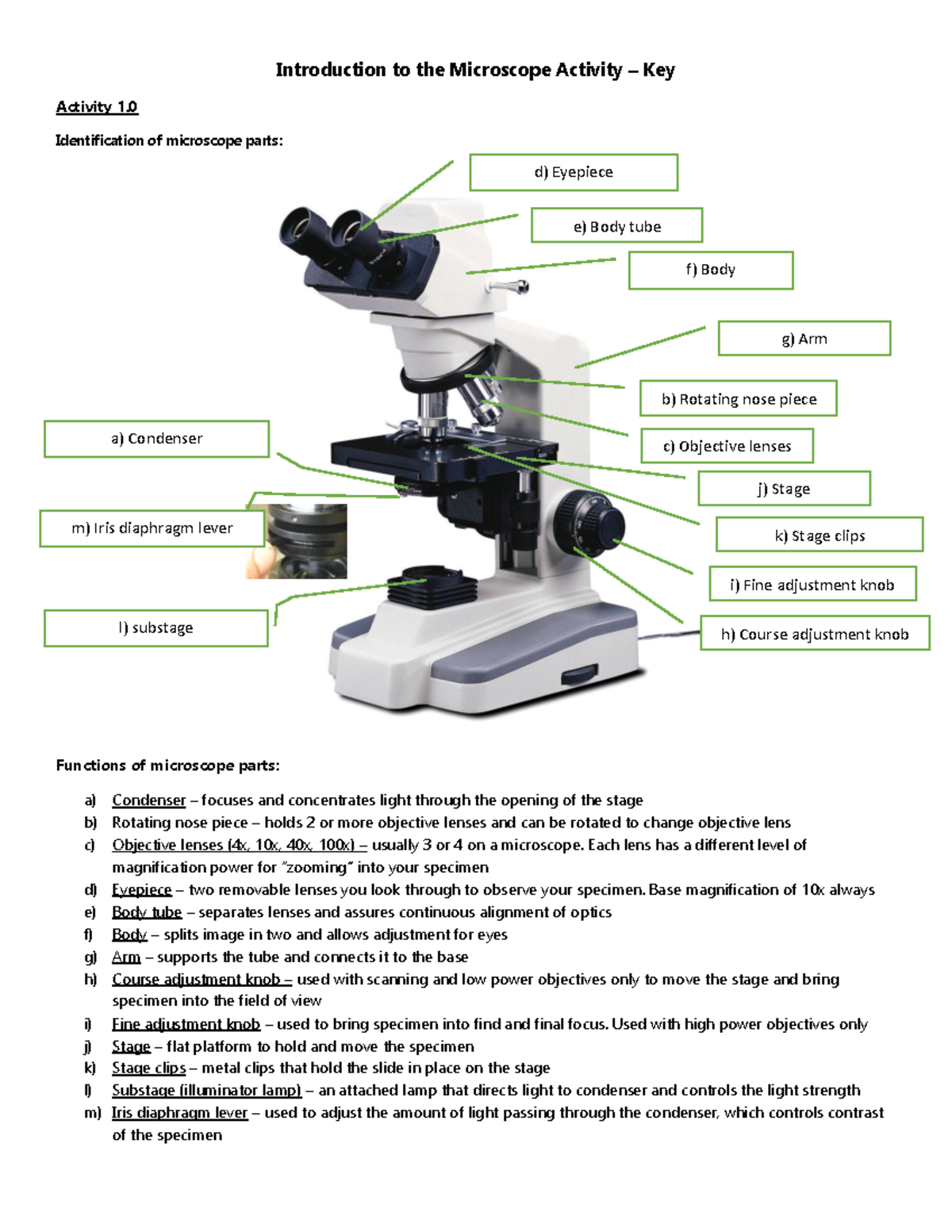Introduction To The Microscope Activity Key F18 Each Lens Has A