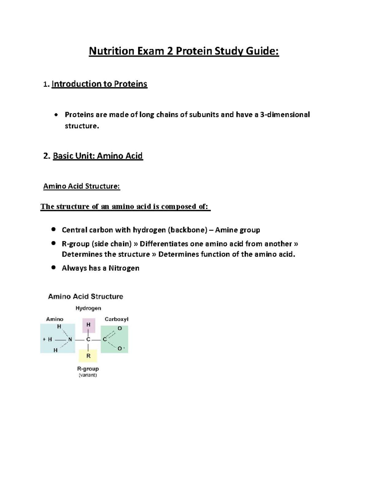 Nutrition 2 Protein Study Guide Nutrition Exam 2 Protein Study Guide