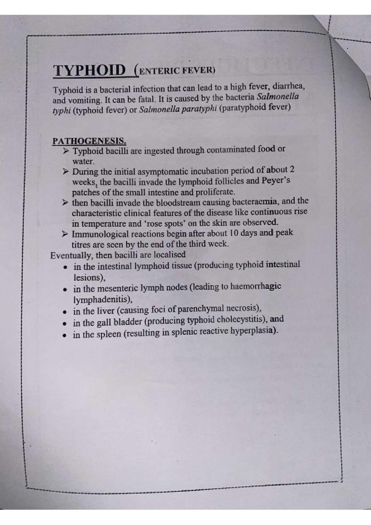 Typhoid - Simple notes to score very high score.. - Pharmacy - Studocu