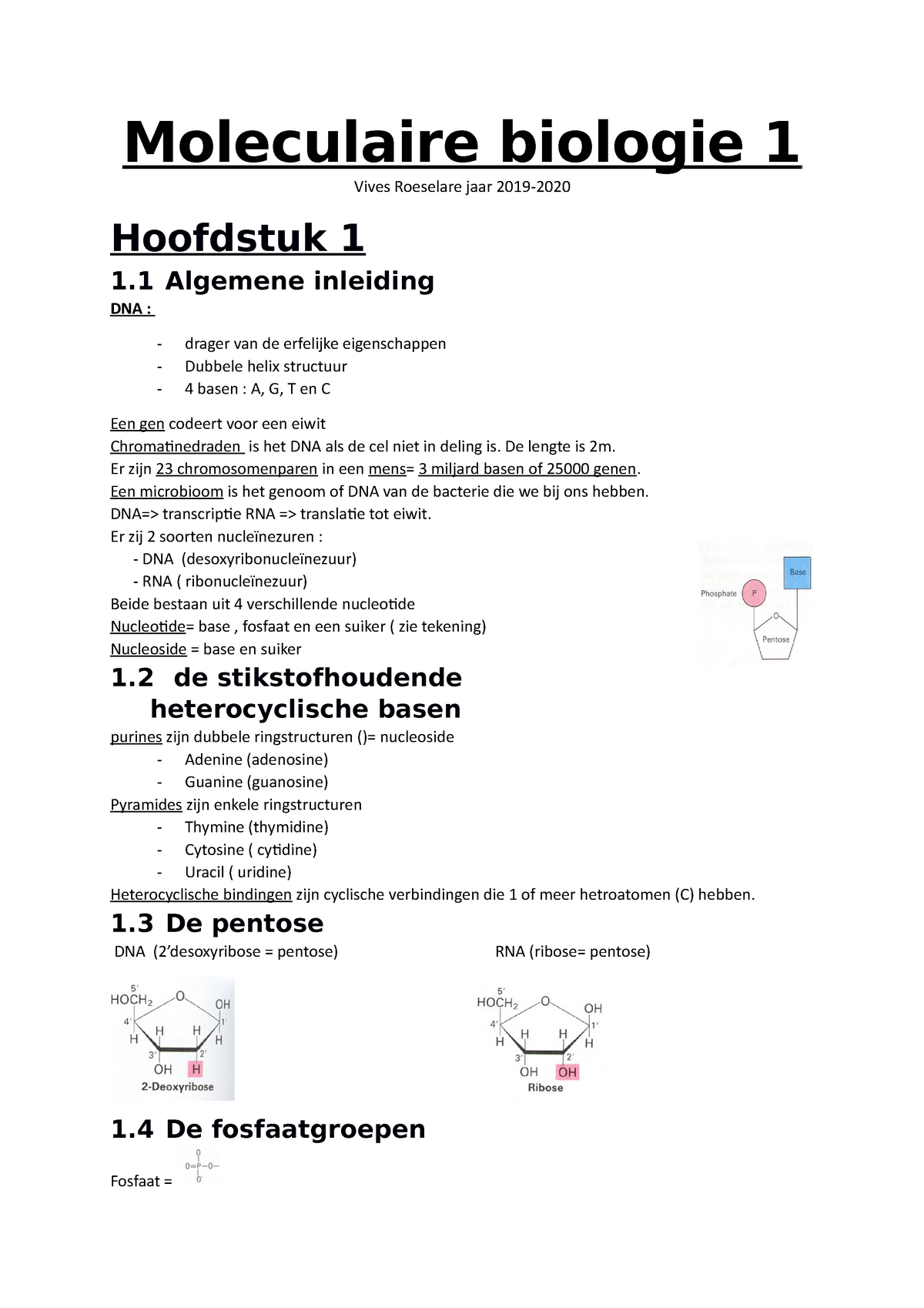 Moleculaire Biologie 1 Samenvatting 2018/2019 - Vives - Studocu