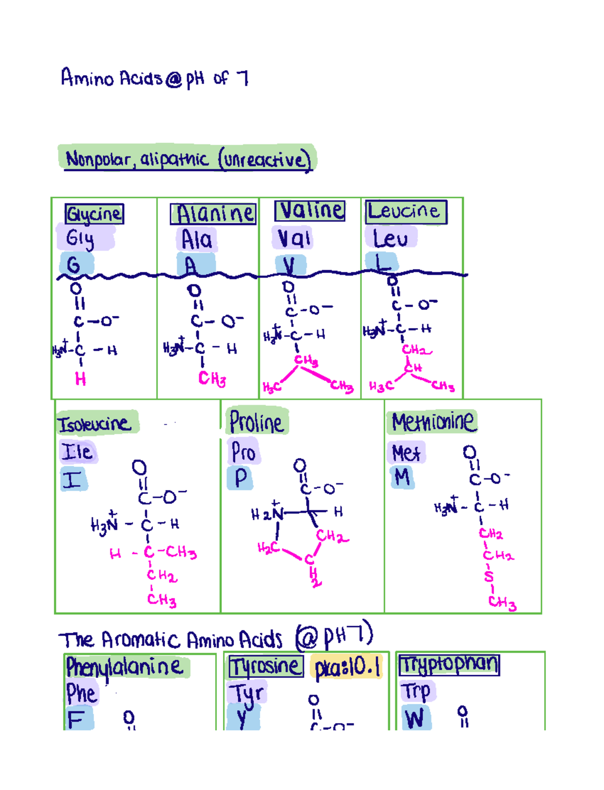 Amino Acid Structures Amino Acids pH of 7 Nonpolar alipathic
