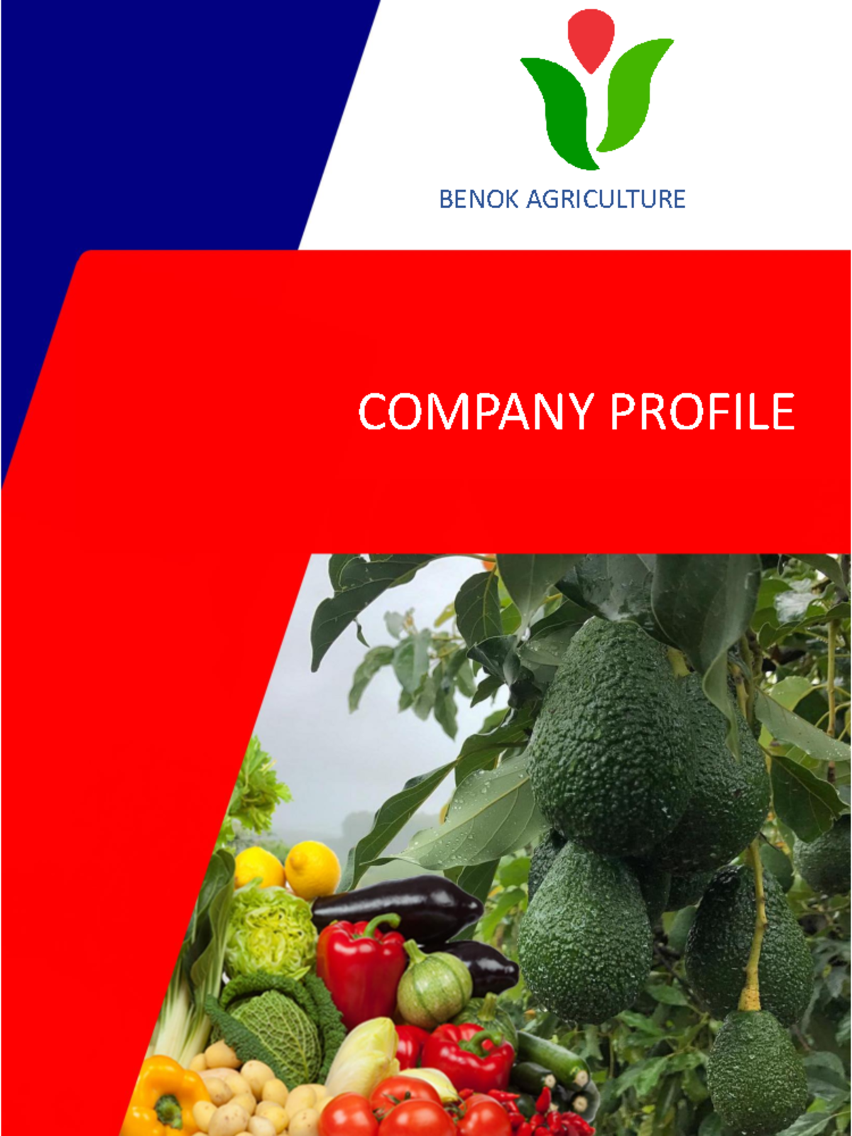 CompanyProfile Sample Development COMPANY PROFILE BENOK AGRICULTURE