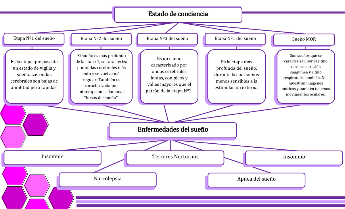 Estado DE Conciencia - Estado de conciencia Etapa Nº1 del sueño Etapa ...