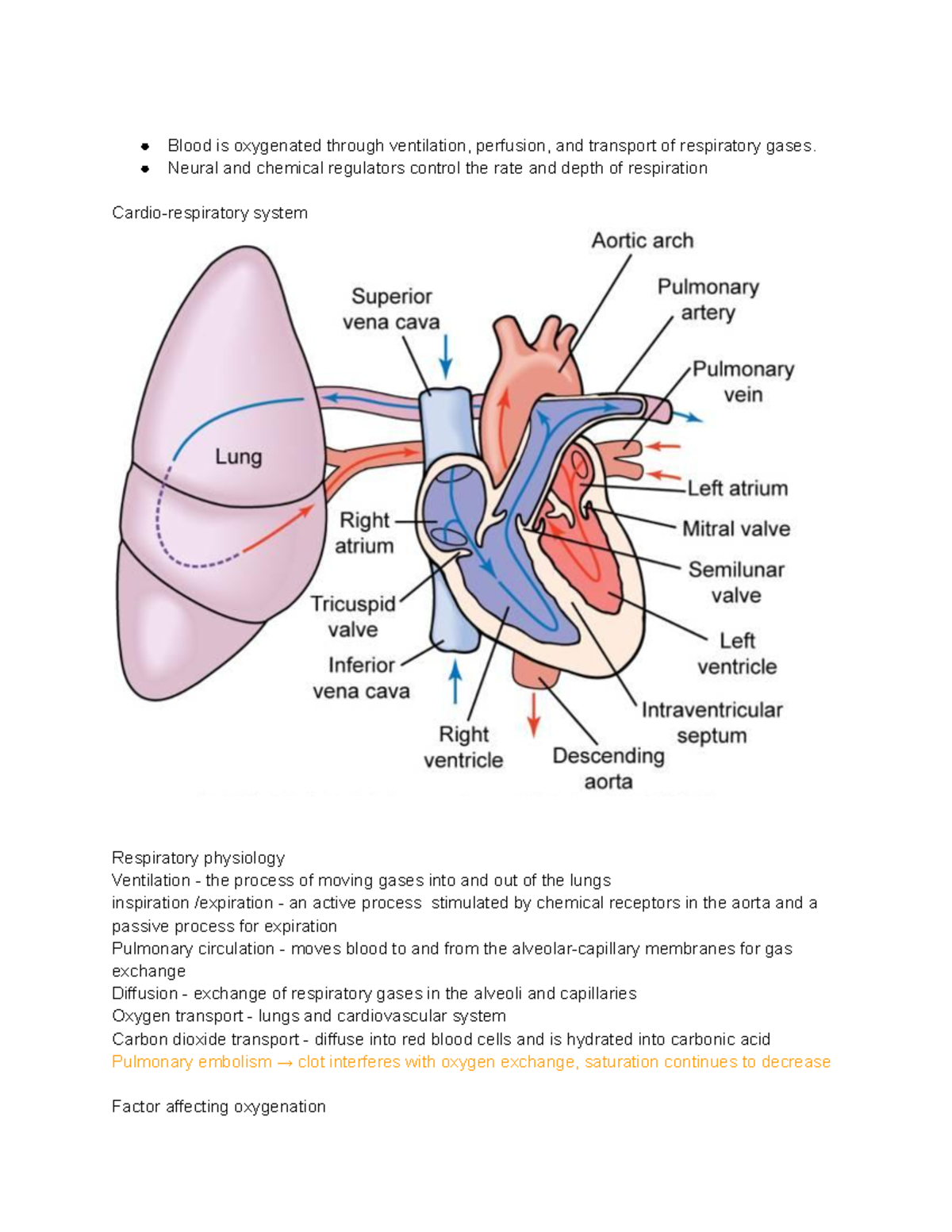 Oxygenation Ppt - Blood Is Oxygenated Through Ventilation, Perfusion ...