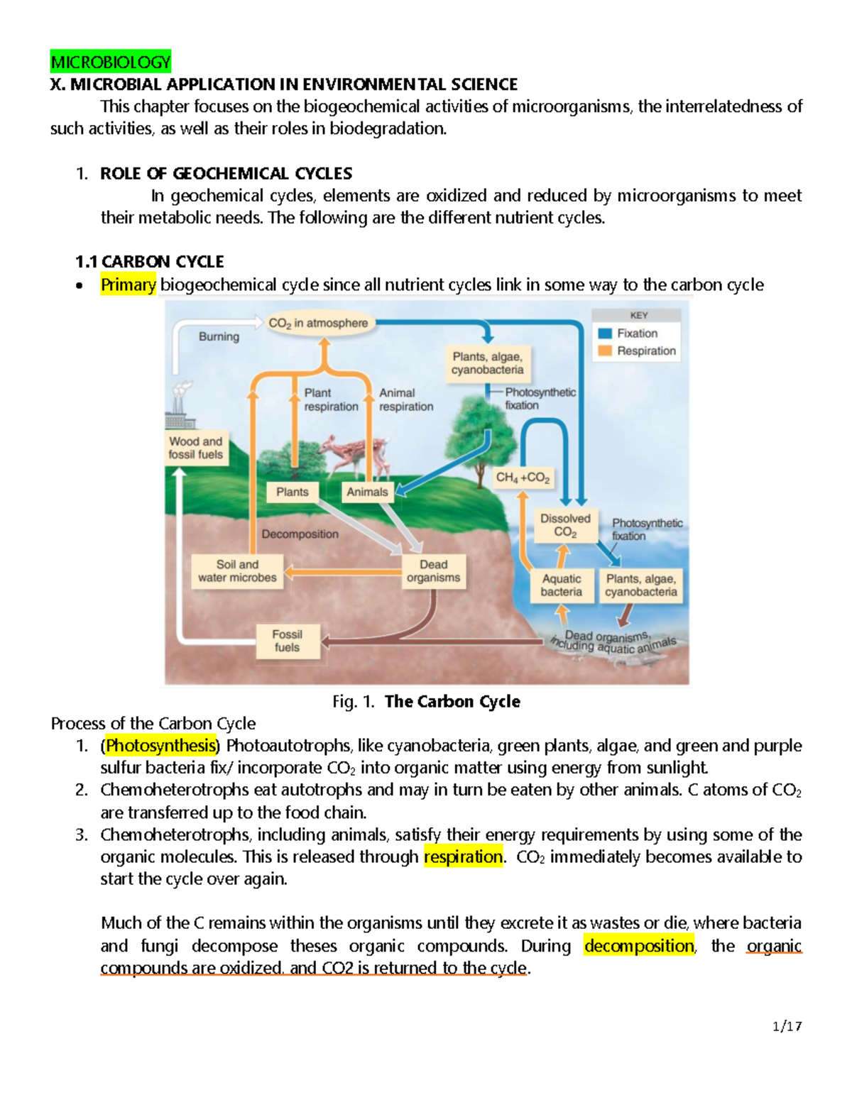 Microbial Application in Environmental Science - MICROBIOLOGY X ...