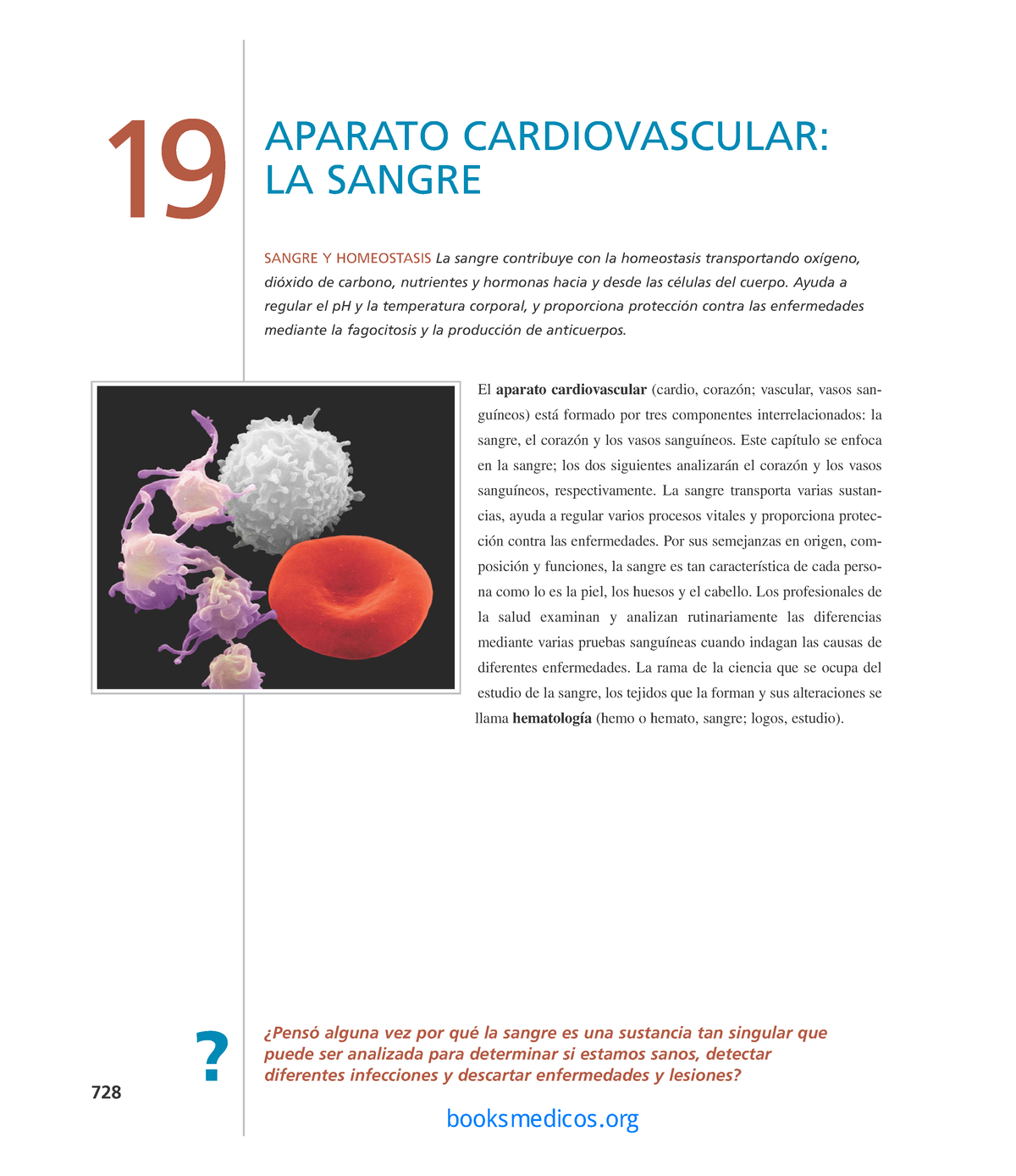 Cap. 19, 20, 21 Circulatorio - ####### El Aparato Cardiovascular ...