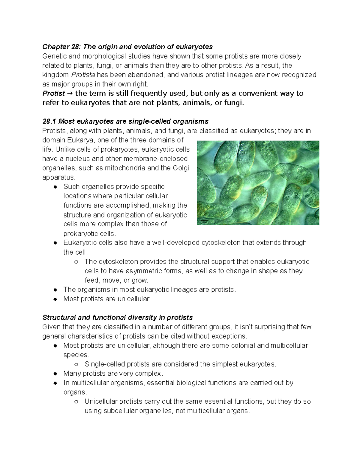 Chapter 28 The origin and evolution of eukaryotes - Chapter 28: The ...