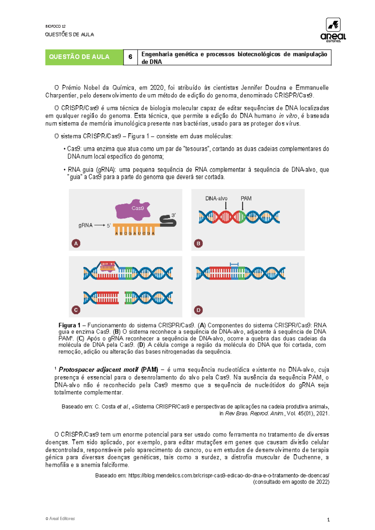 Bio12 qa6 - Engenharia genética e processos biotecnológicos da ...