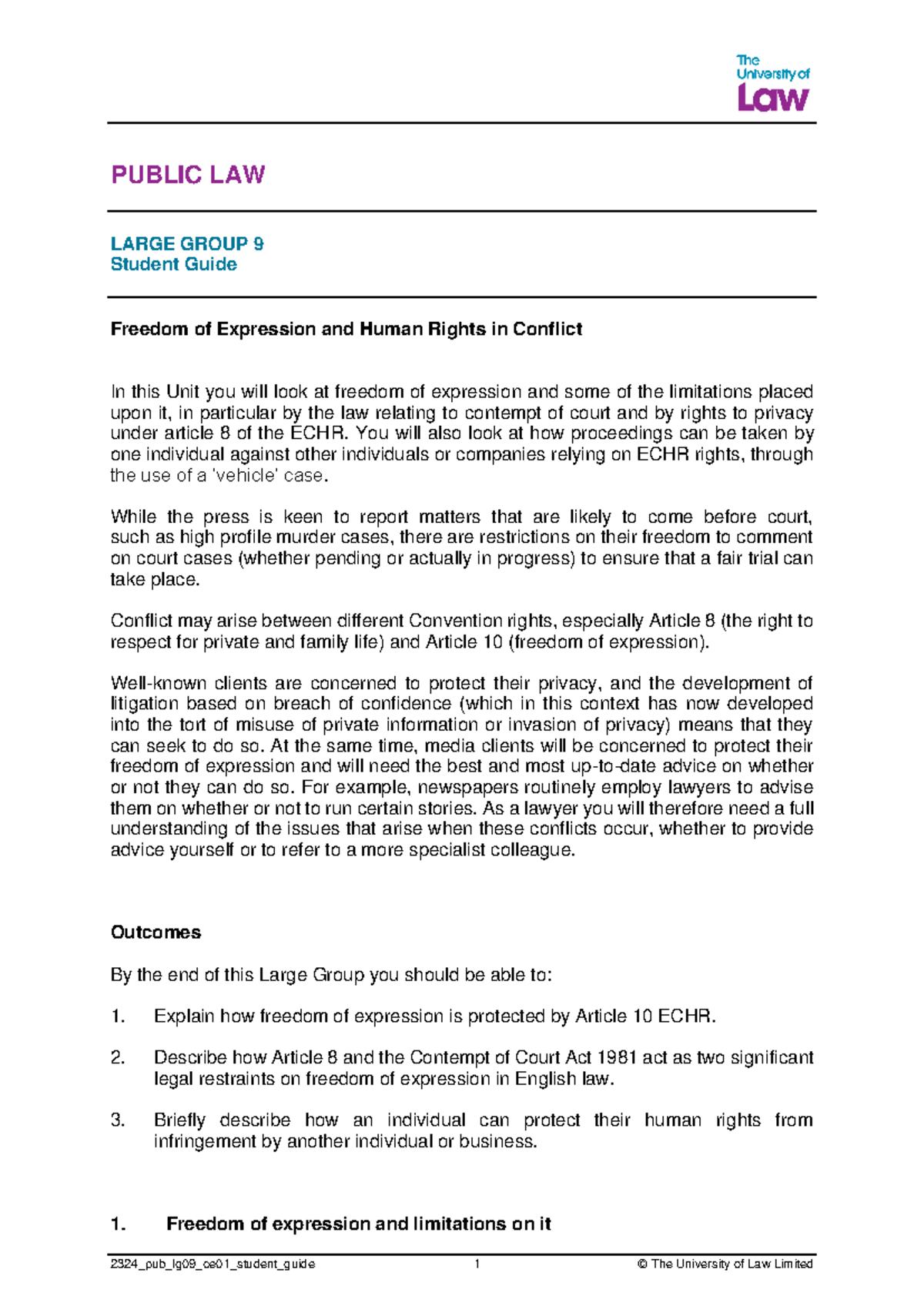 2324 pub lg09 ce01 student guide - PUBLIC LAW LARGE GROUP 9 Student ...