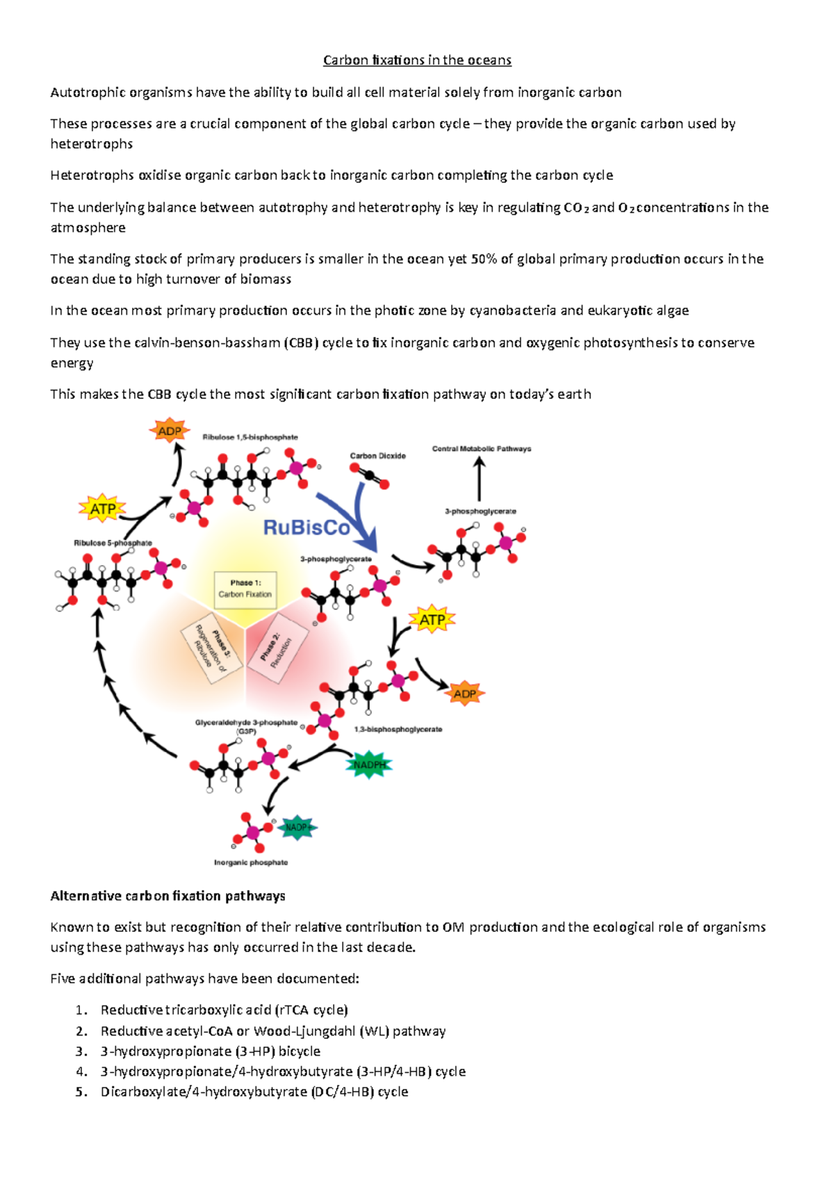 10-pathways-of-carbon-fixation-carbon-fixations-in-the-oceans