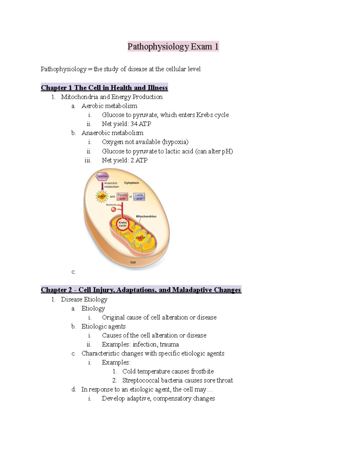 Pathophysiology Exam 1 - Deprecated API usage: The SVG back-end is no ...