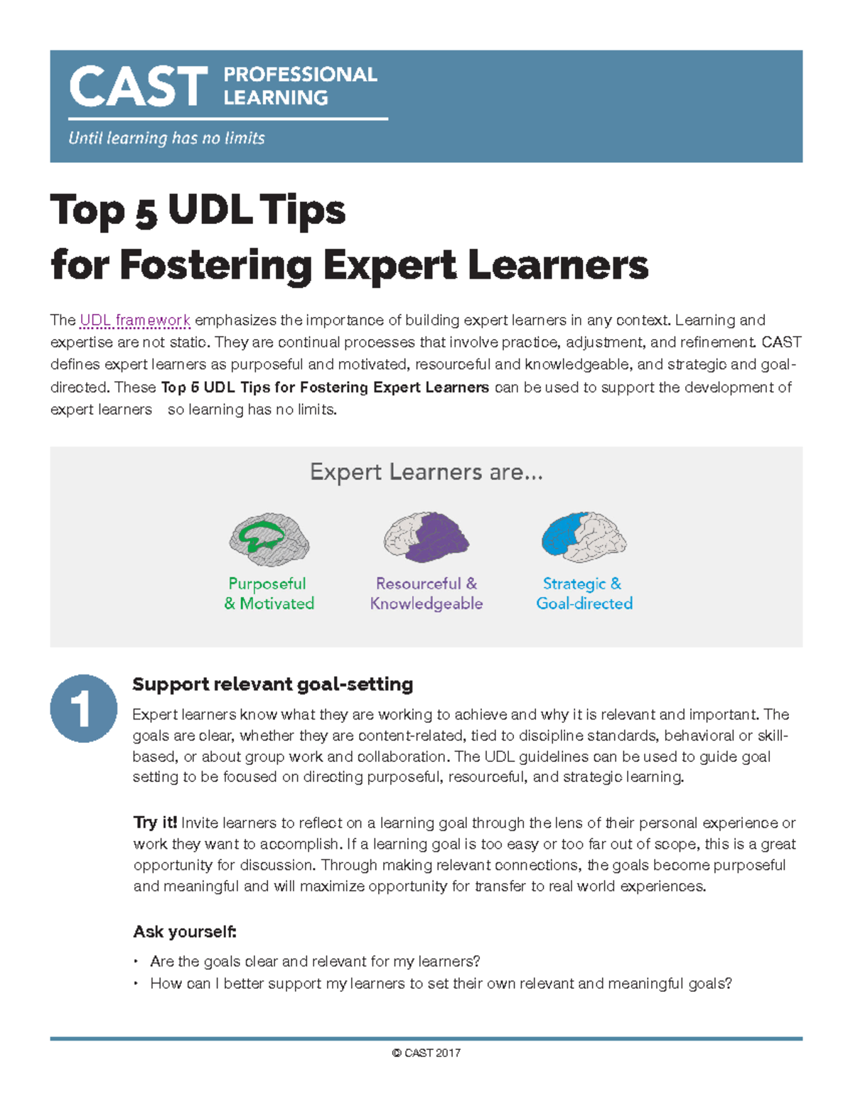 Cast 5 expert learners 2017 © CAST 2017 Top 5 UDL Tips for Fostering