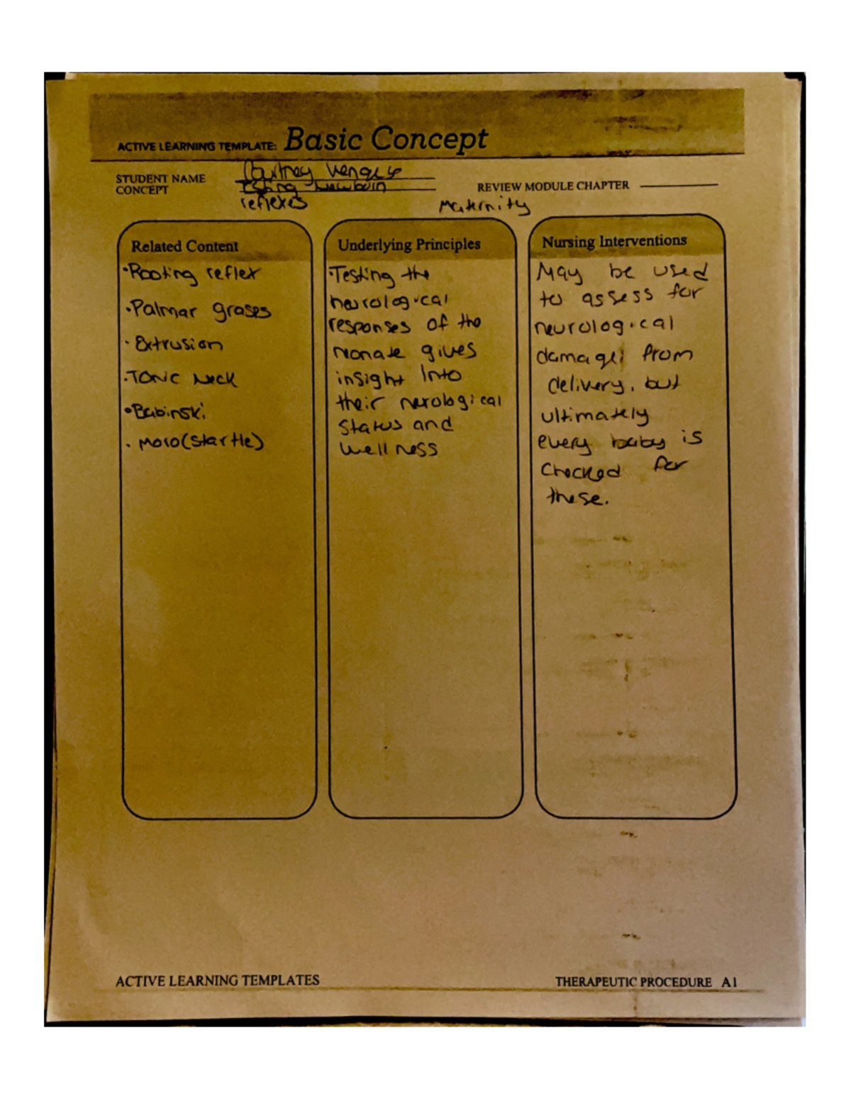 Scanned Documents - BSN Notes - NUR-317 - Studocu