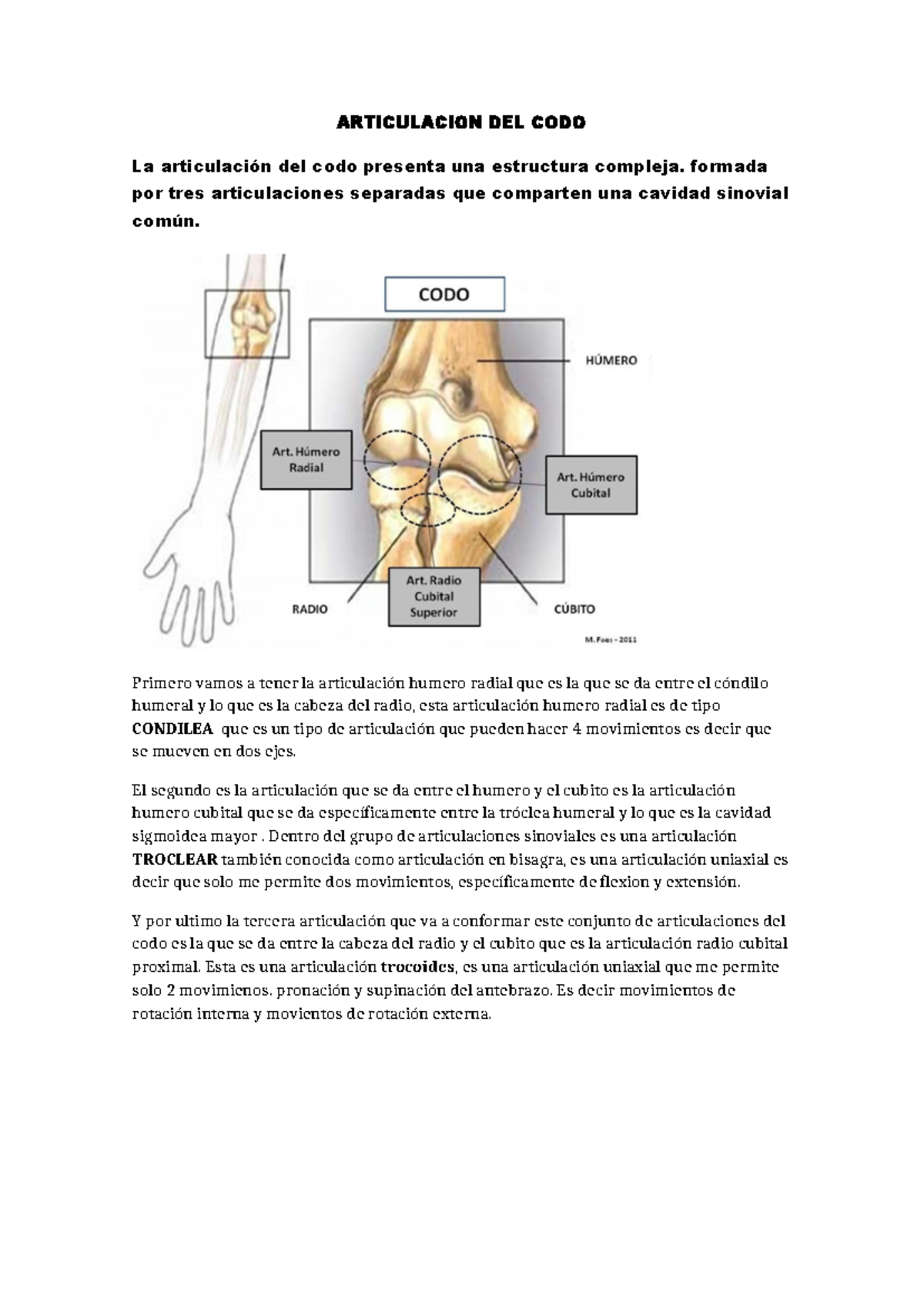 Articulacion DEL CODO - articulación del codo - ARTICULACION DEL CODO ...