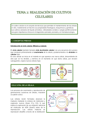 M03 UF1 N1 Citogenetica - NF1- CARACTERIZACIÓN DEL LABORATORIO DE ...