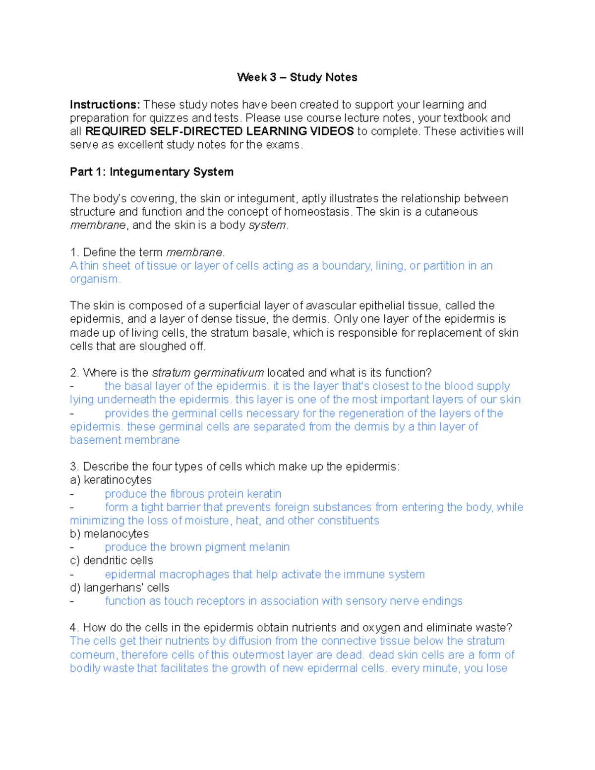Week 3 Study Notes: Integumentary System - Studocu