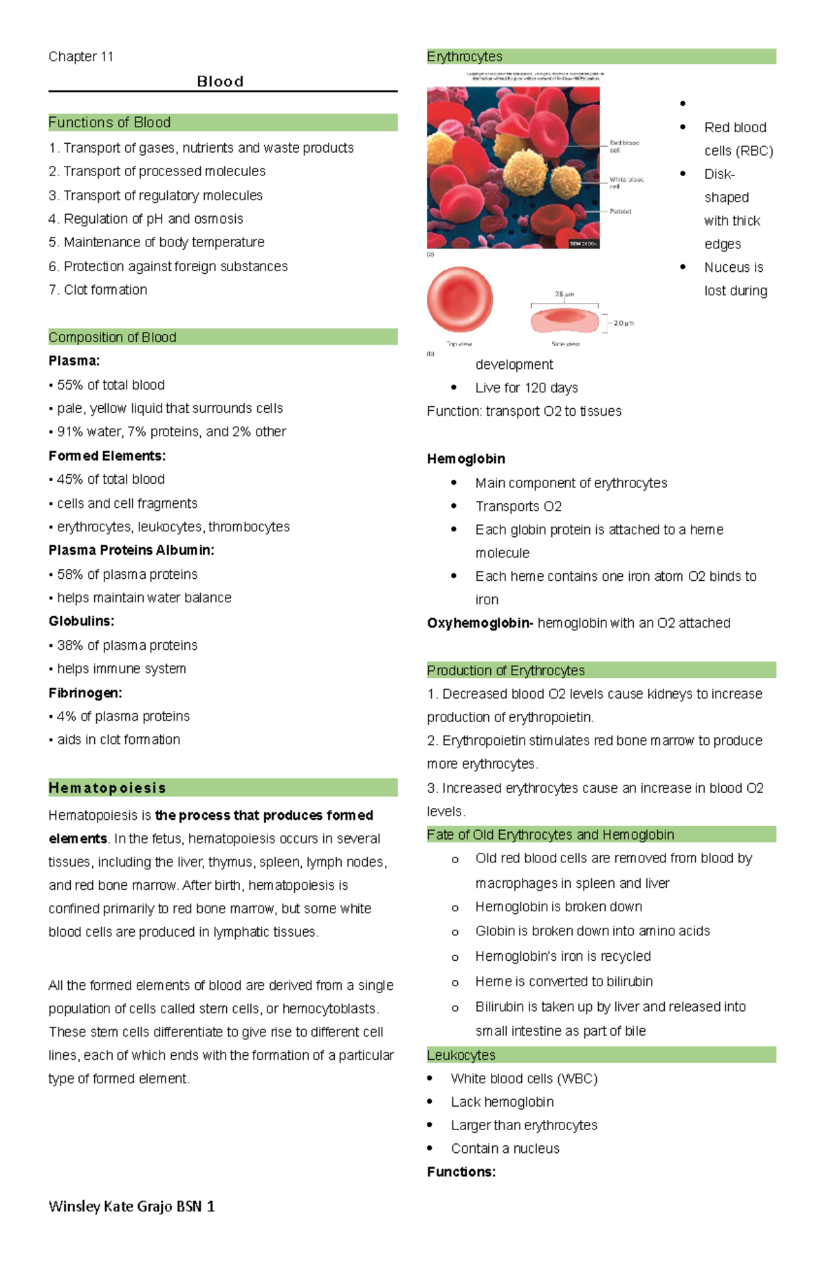 Blood - ANAPHY notes - Chapter 11 Blood Functions of Blood Transport of ...