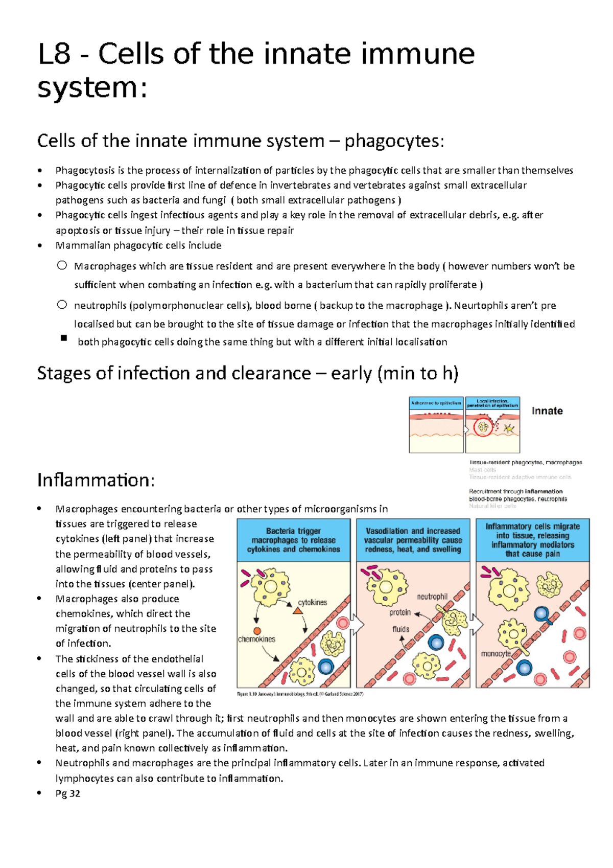 L8 - Cells Of The Innate Immune System - L8 - Cells Of The Innate ...