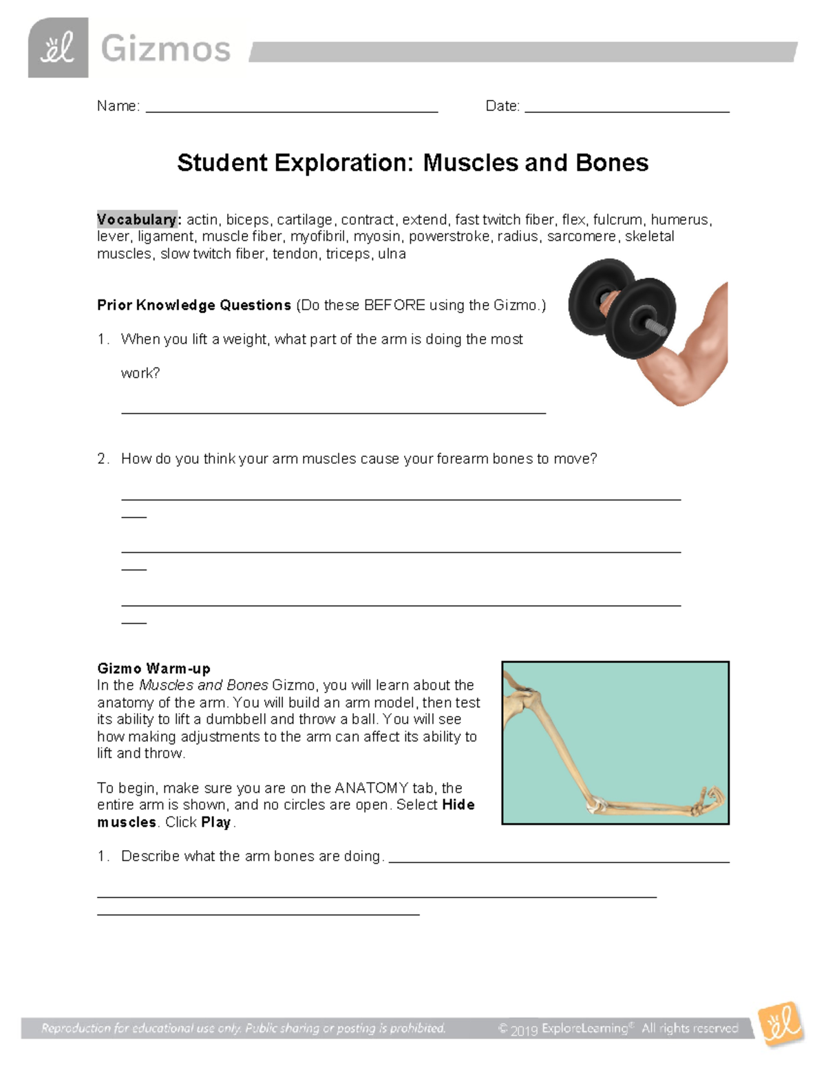 Muscles Bones SE - Help me - Name: Date: Student Exploration: Muscles ...