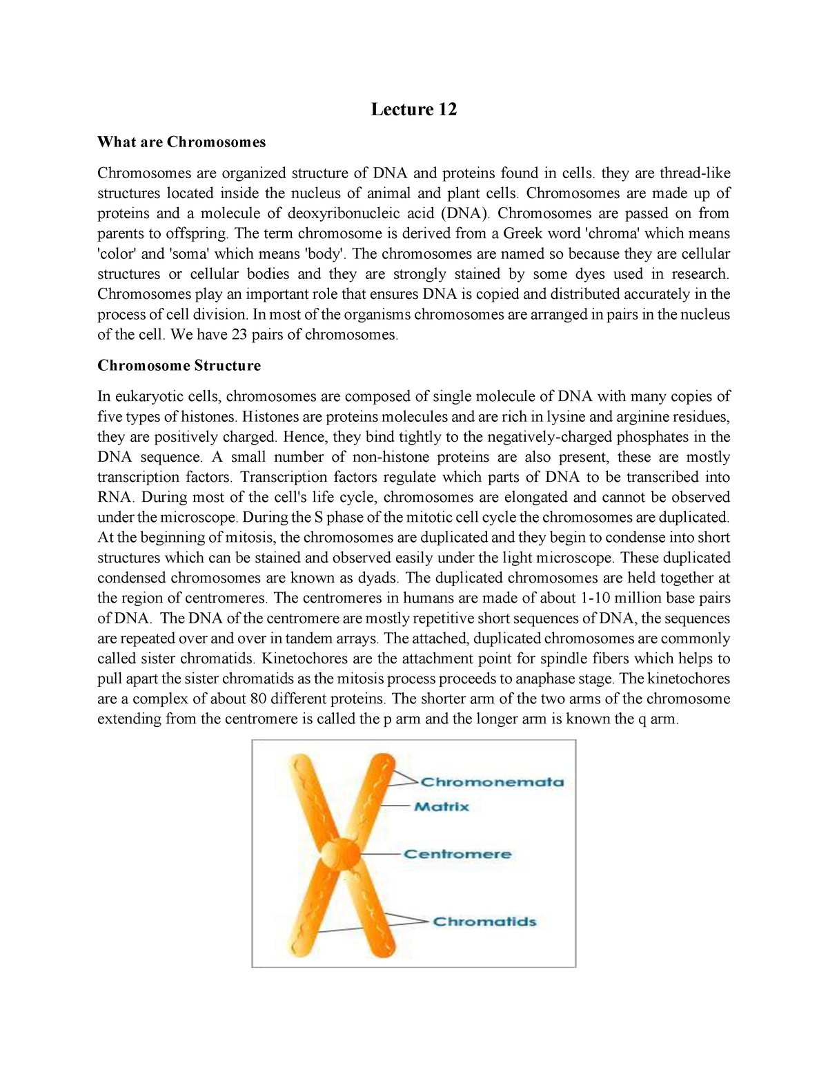 Chromosome & Gene for biology students - Lecture 12 What are ...