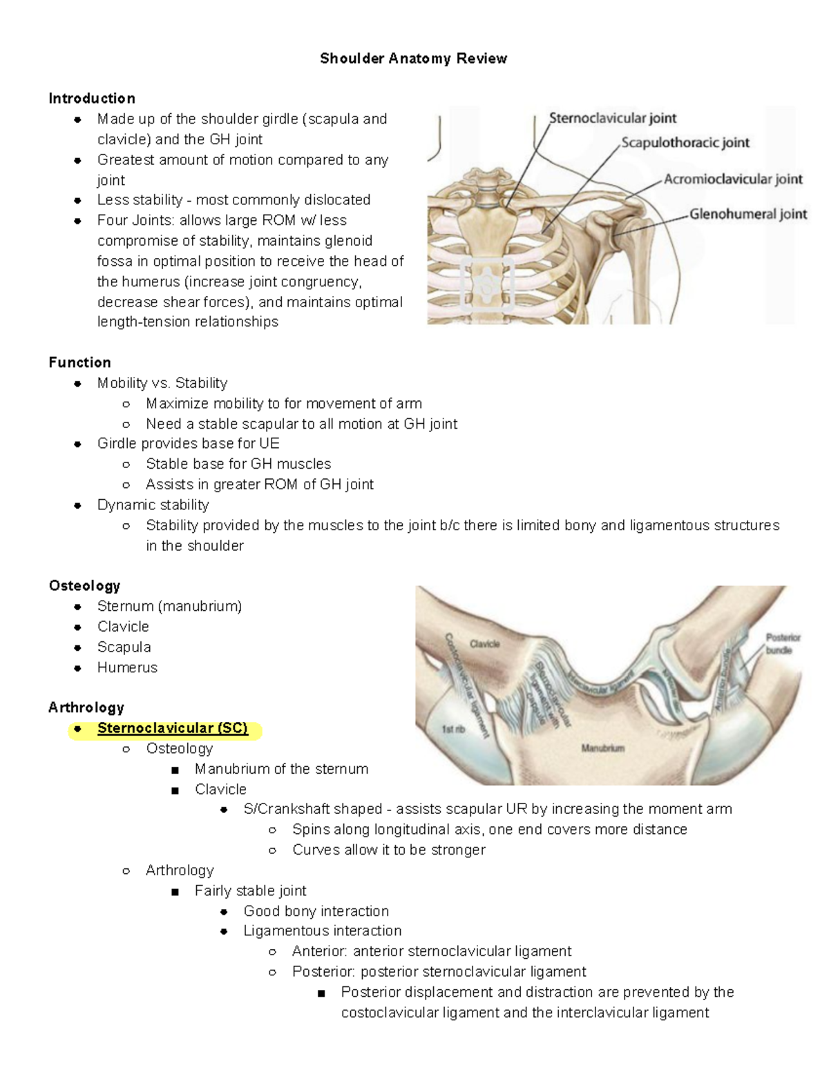 Chapter 5- Shoulder Girdle Anatomy Review - Shoulder Anatomy Review ...