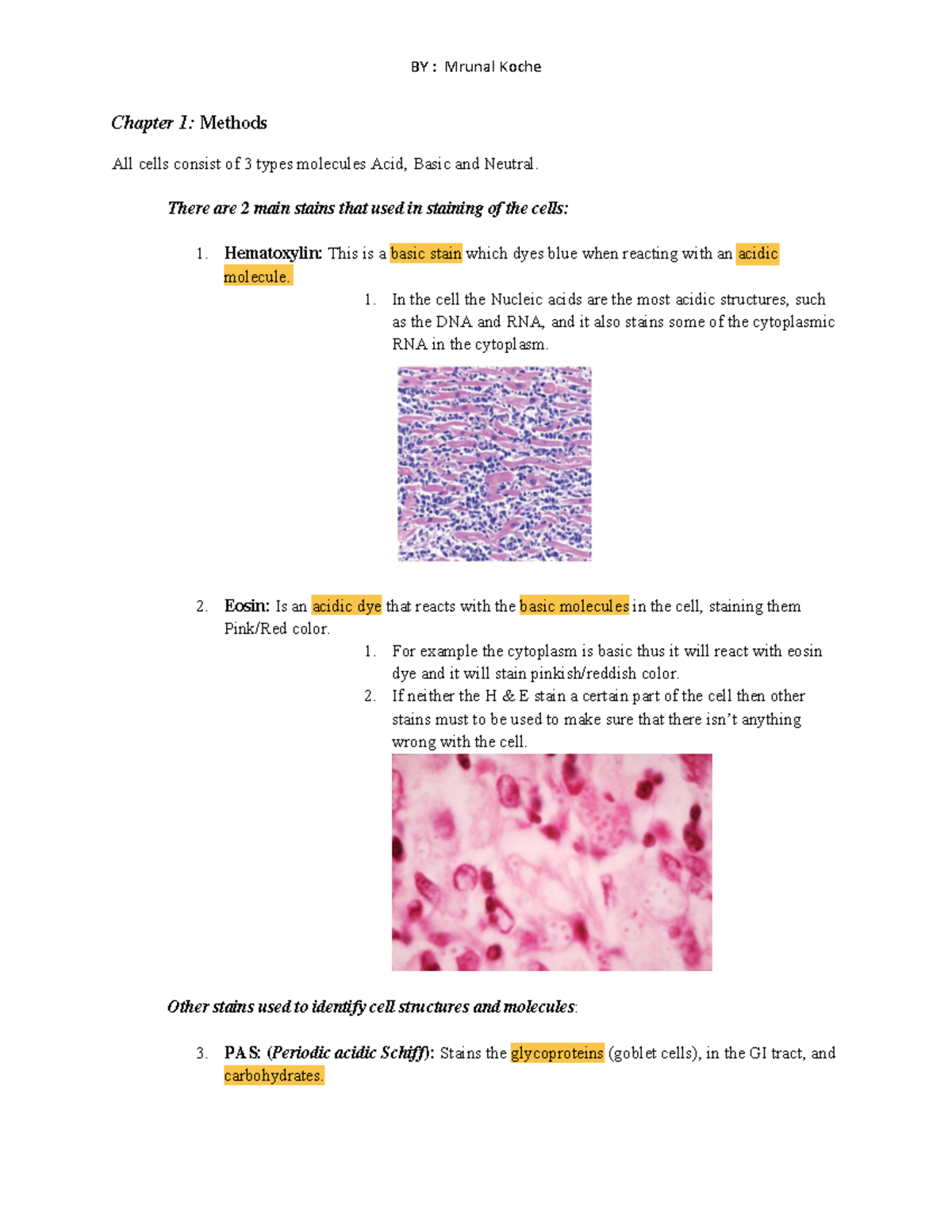 High Yield Histology Notes - Chapter 1: Methods All Cells Consist Of 3 ...