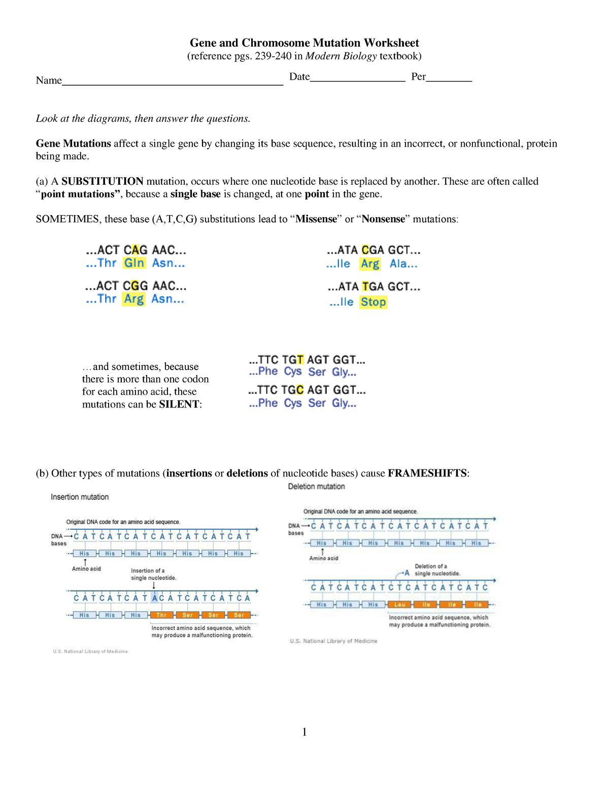 kami-export-natalee-klinock-gene-and-chromosome-mutation-worksheet