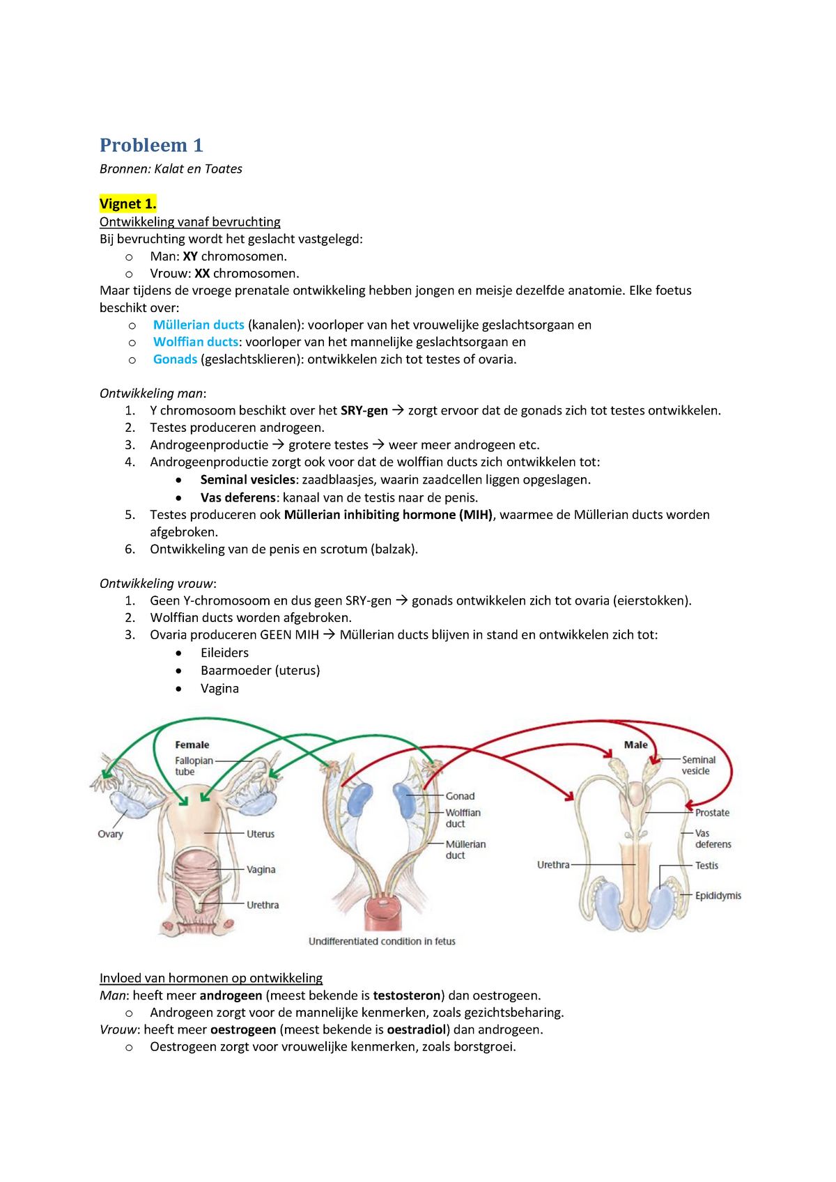 Samenvatting Biologische Psychologie Lichaam Probleem 1 T M 8 Studeersnel