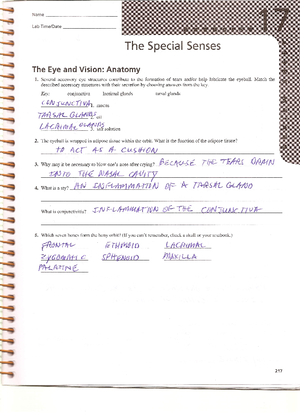 Lab Ex - notes - Nursing - Studocu