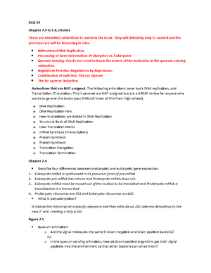 GLQ 8 - Guided Learning Questions with Answers - GLQ-8 for Ch. 13.1-13 ...