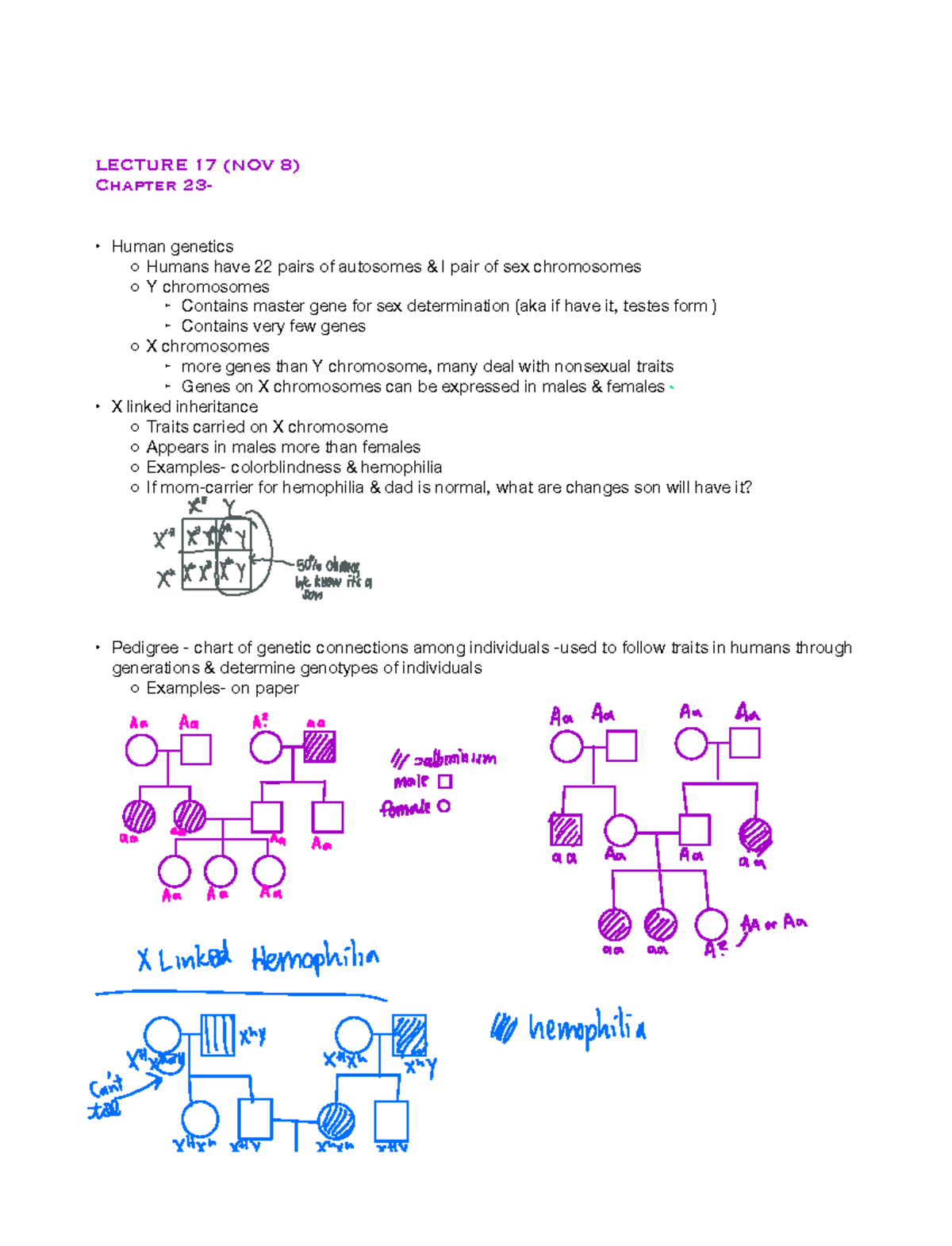 Final Notes - LECTURE 17 (NOV 8) Chapter 23- Human genetics Humans have ...