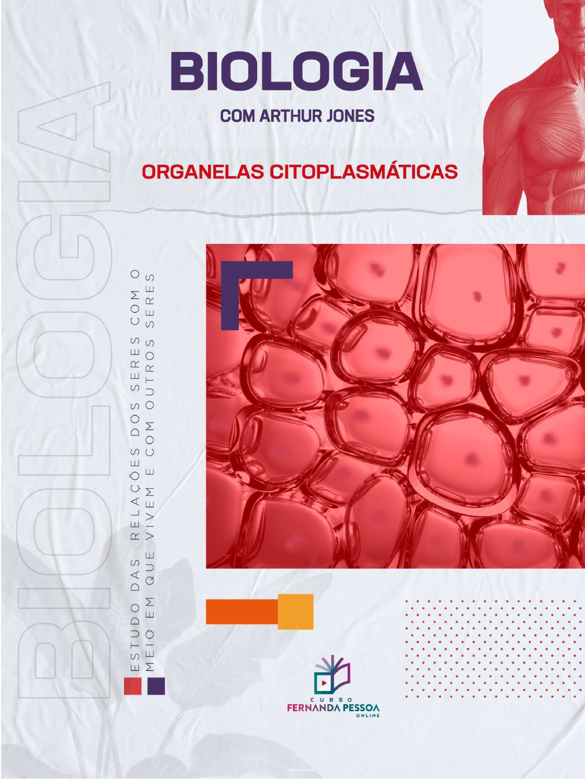 Online Biologia Aula16 Organelas Citoplasmáticas Citoplasma