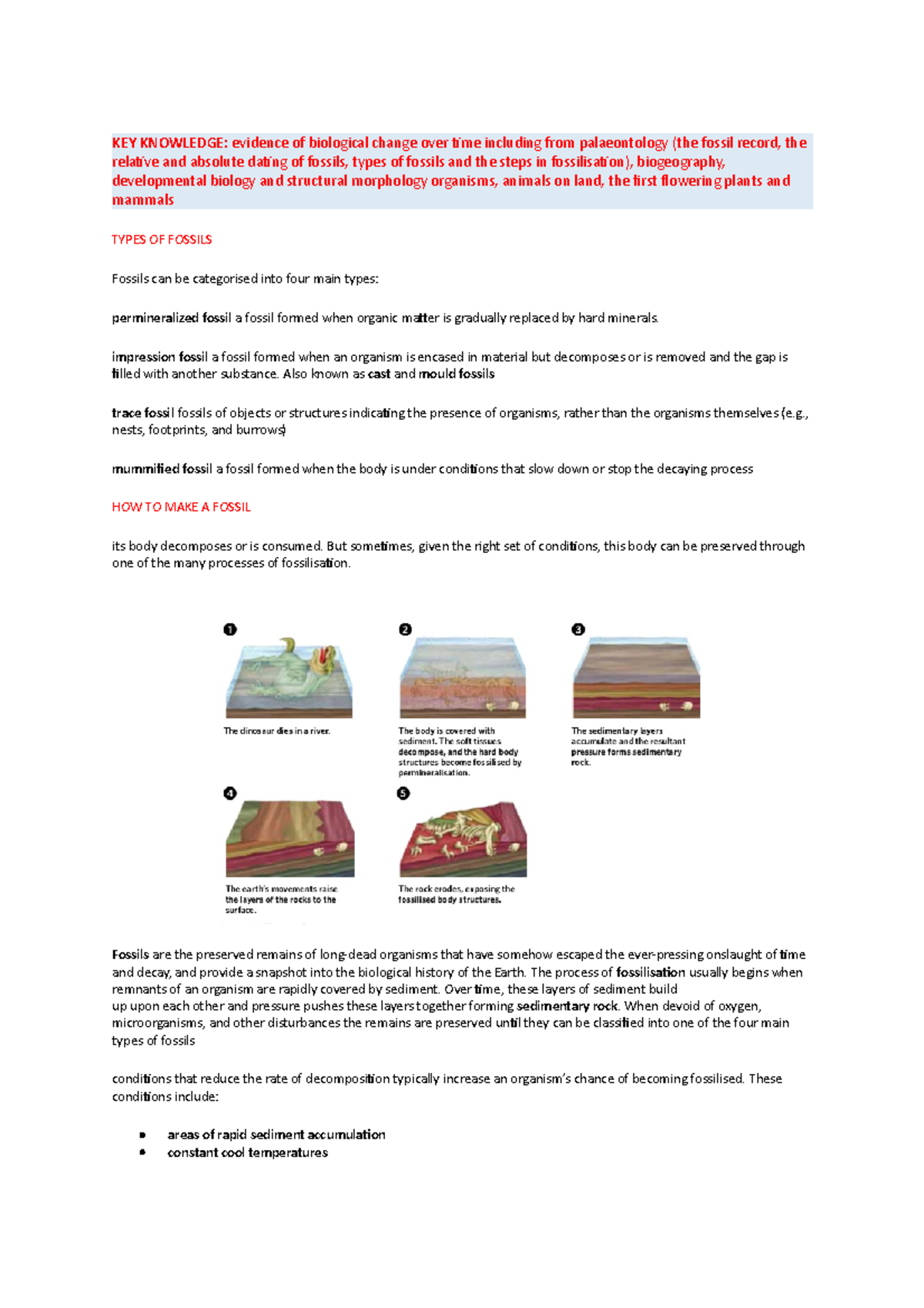 Biology AOS2 Notes - Evolution - KEY KNOWLEDGE: Evidence Of Biological ...