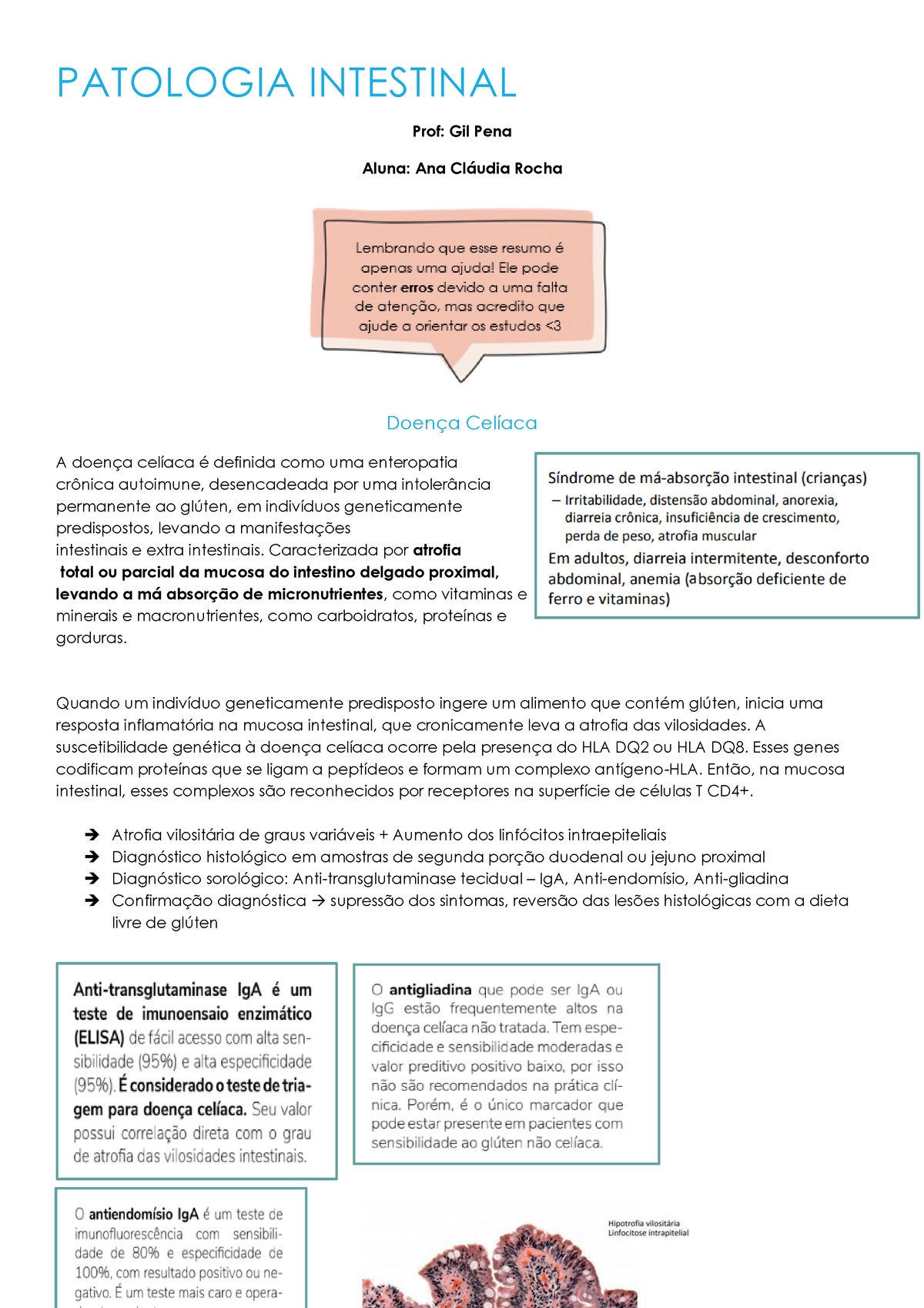 Digestório Iv Anotações Da Aula De Anatomia Patologia L Complementadas Com Artigos E Livros 8039