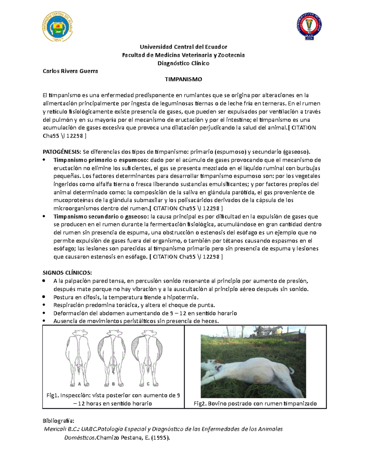 Timpanismo Resumen Patología Veterinaria Universidad Central del