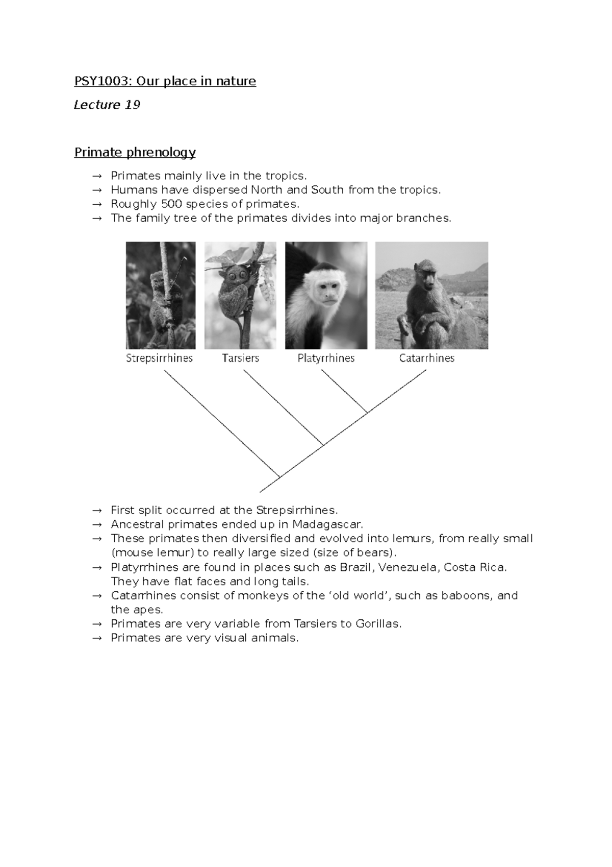 Evolution and Genetics: Our Place in Nature 2.0 - PSY1003: Our place in ...