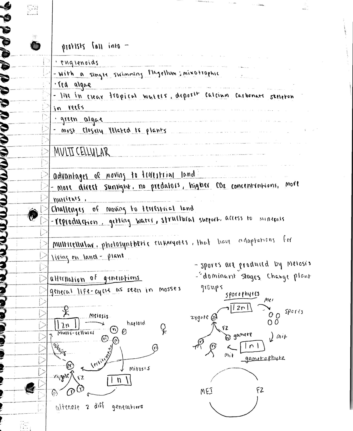 biology related coursework