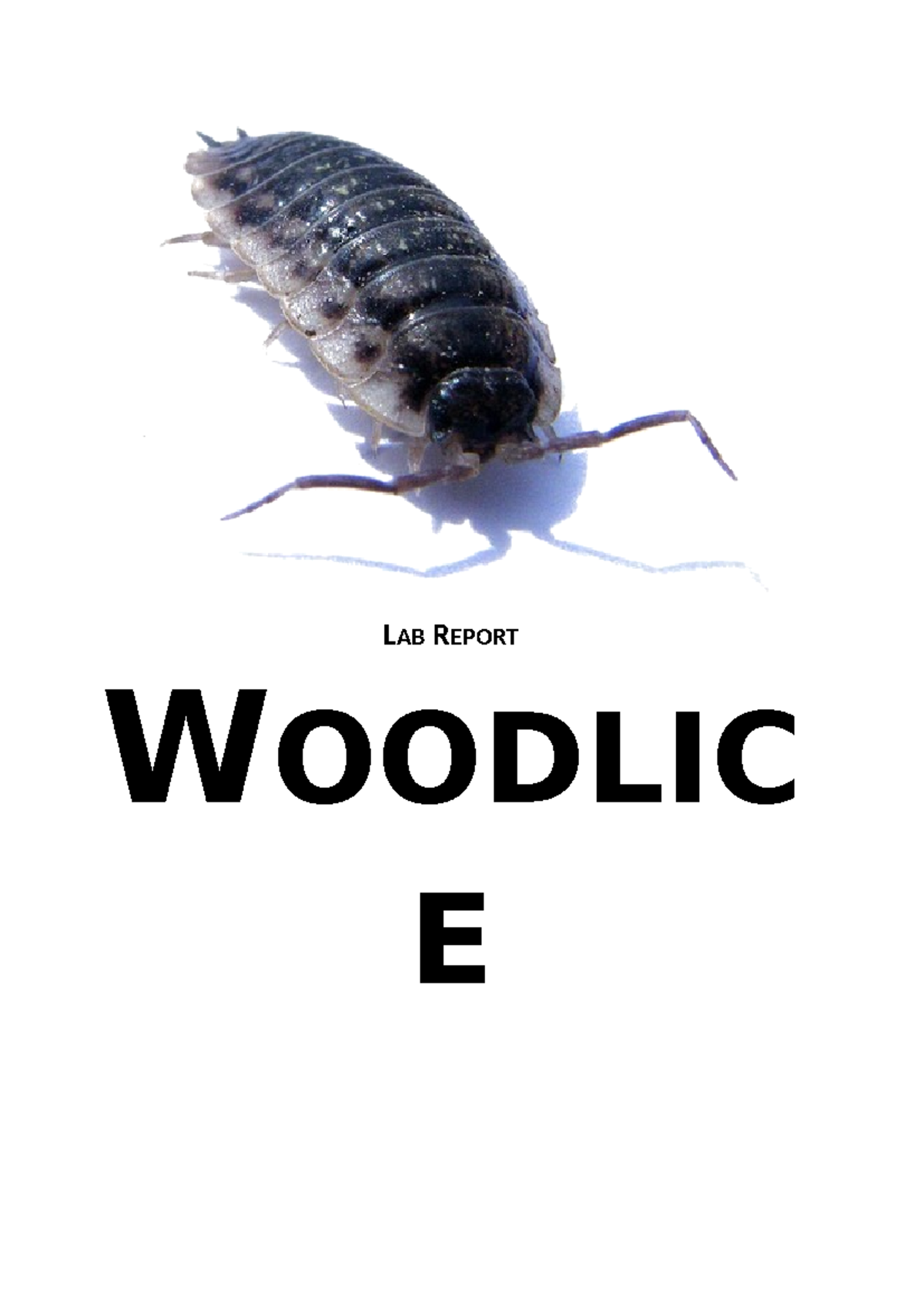 Woodlice LAB REPORT WOODLIC E Daan Rijpkema May 2009 T4Y General
