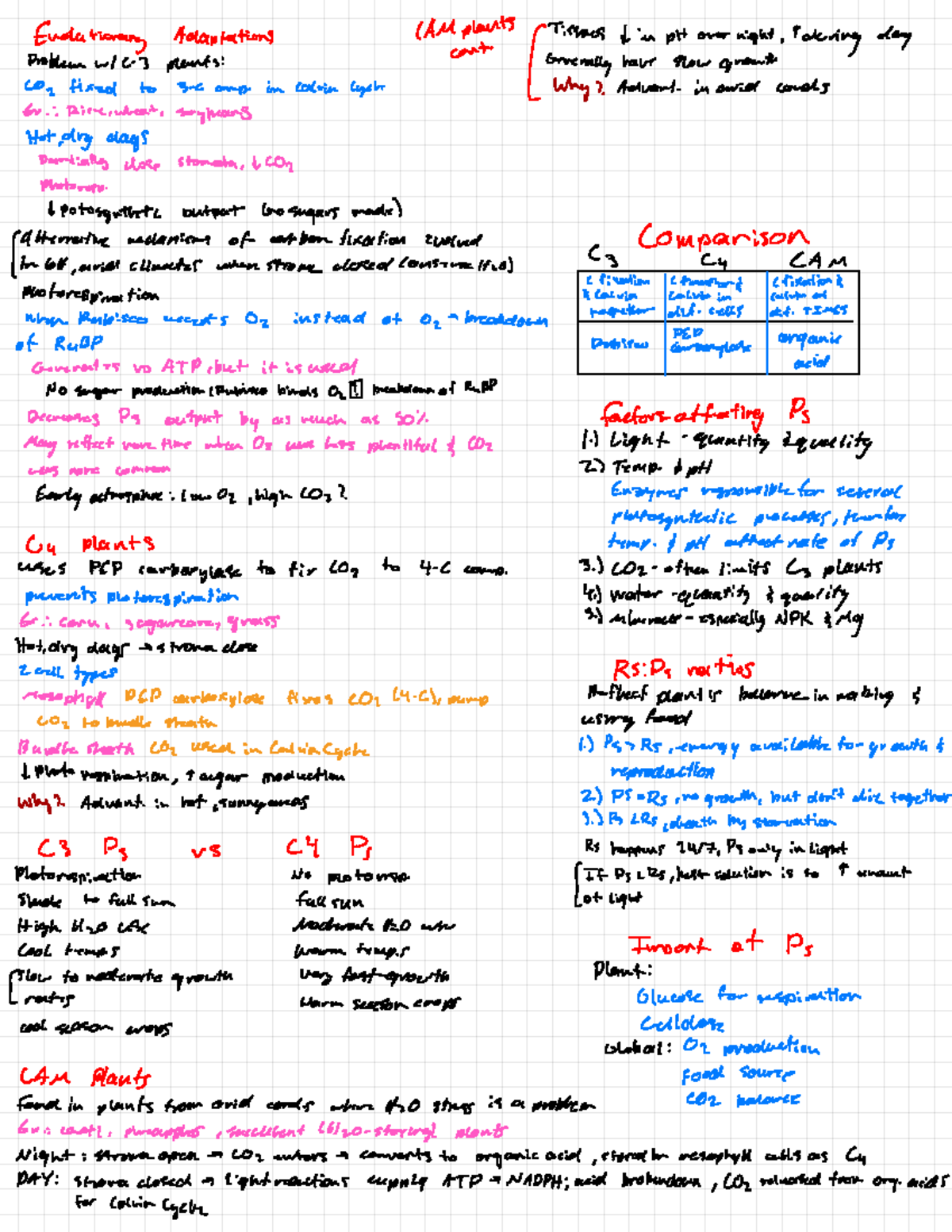 Photosynthesis - Evolutionary Adaptations 1AM Plant Tissues t pH ...